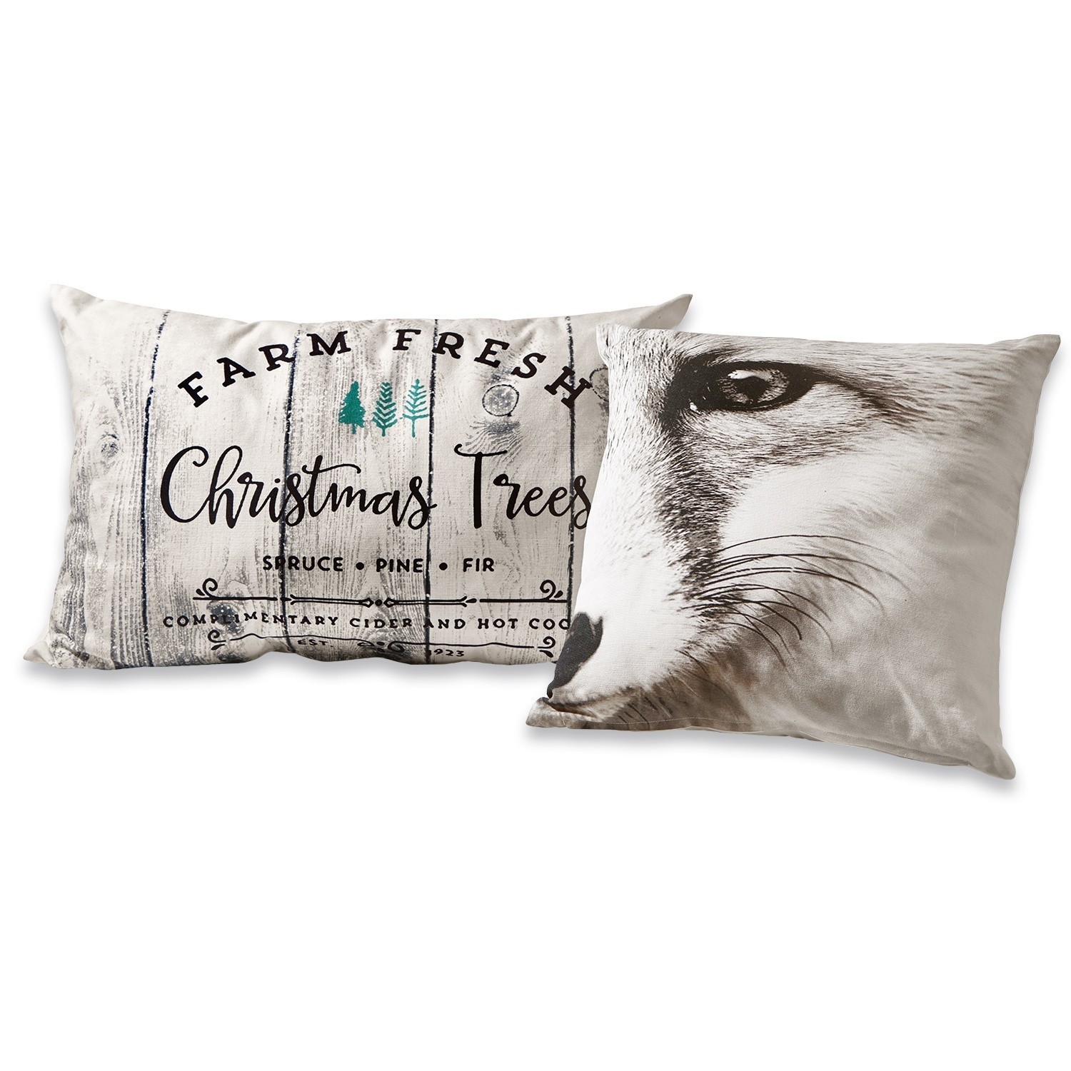Lot de 2 coussins Charlbury