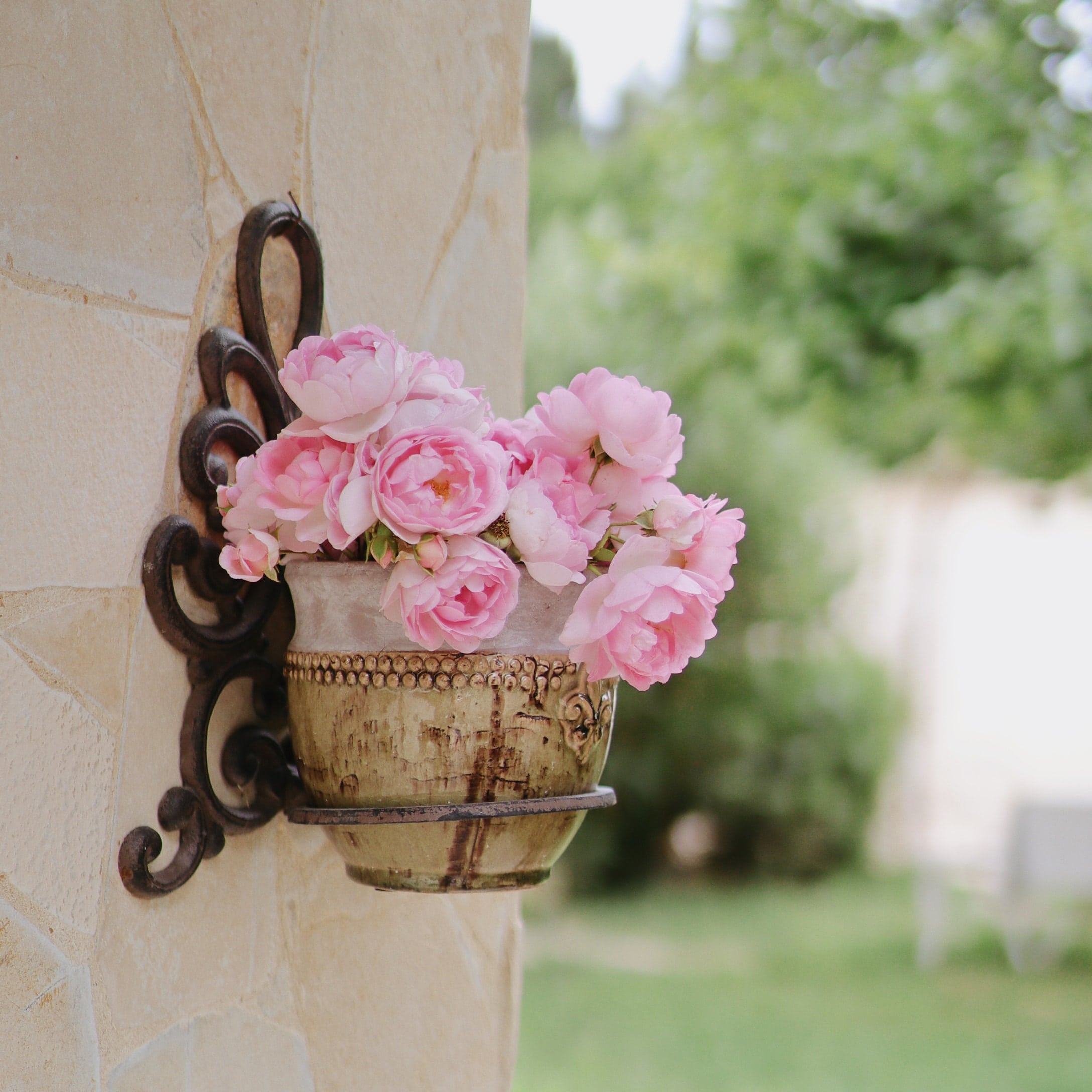 Fleurs roses dans un pot en céramique décoratif fixé à un mur en pierre avec support en métal