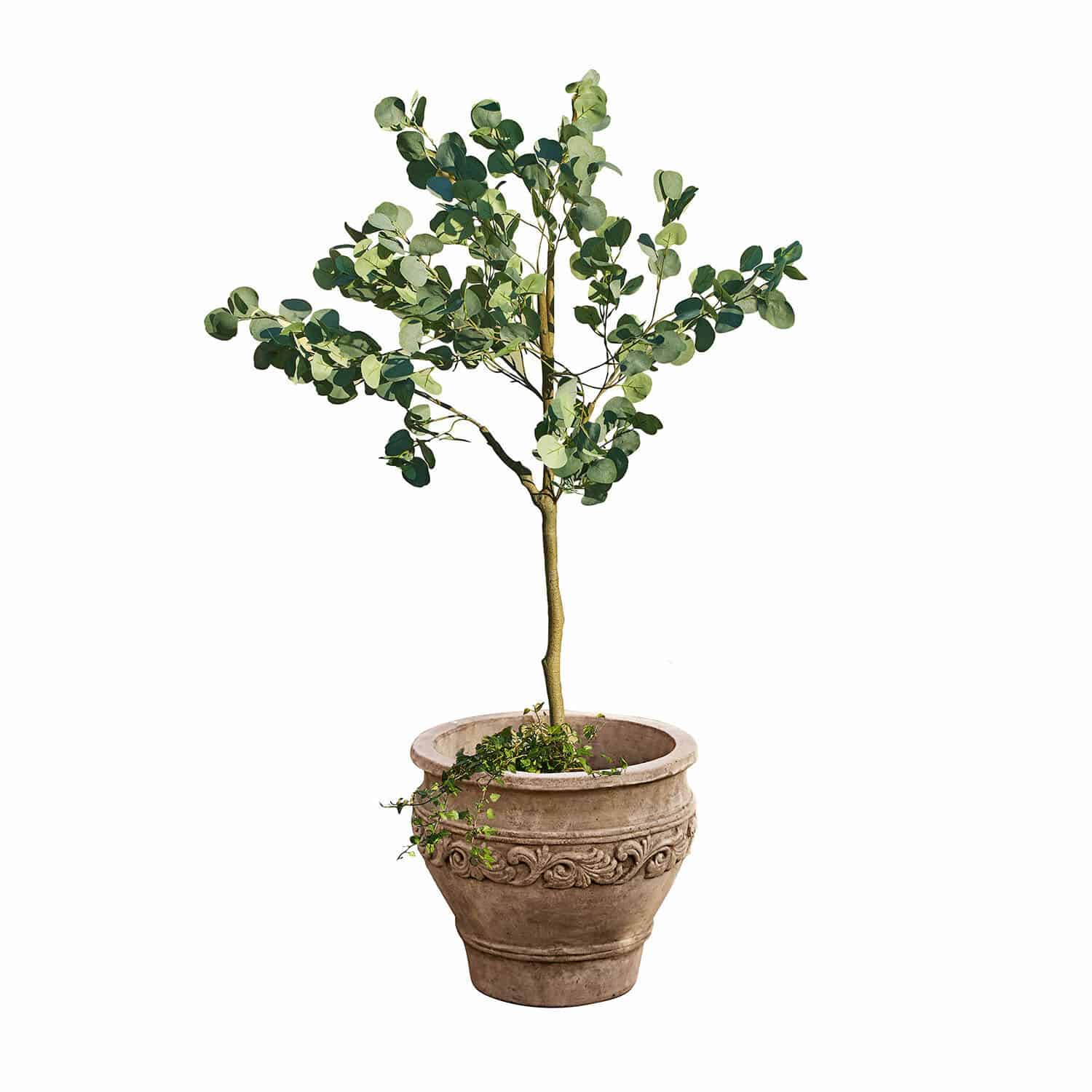 Arbre décoratif Yverdon