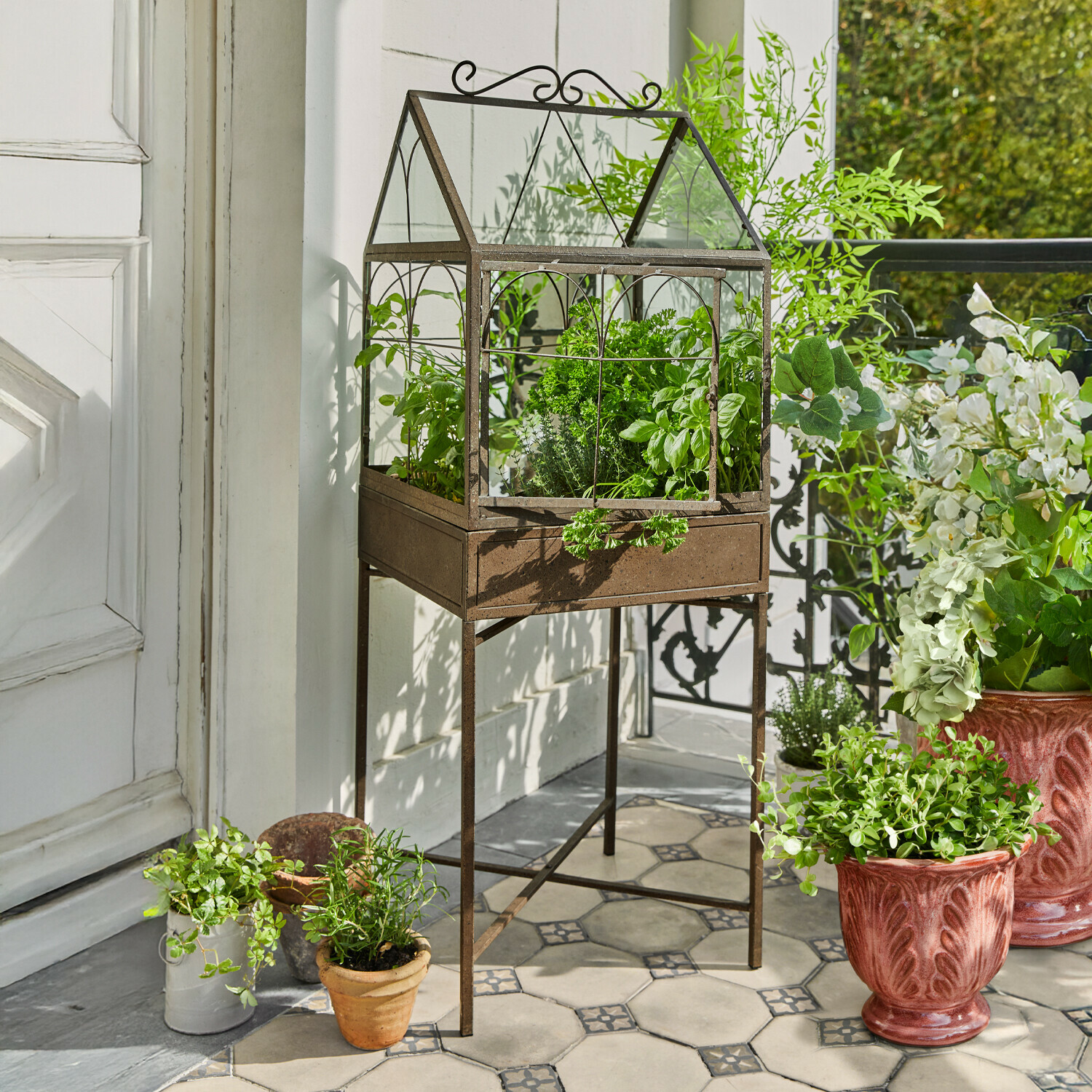 Serre en métal rouillé sur pied avec herbes vertes sur une terrasse carrelée ensoleillée