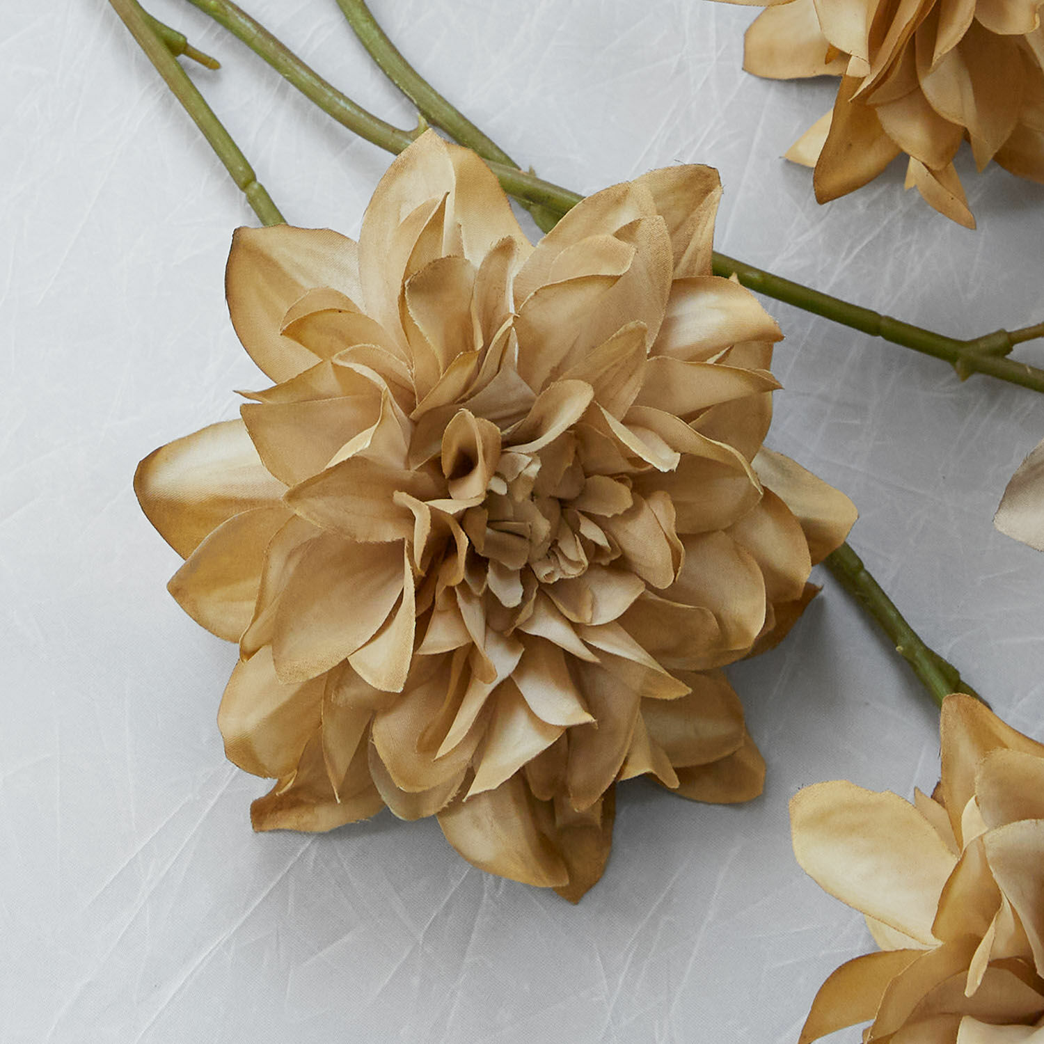 Lot de 4 fleurs décoratives Cappellina