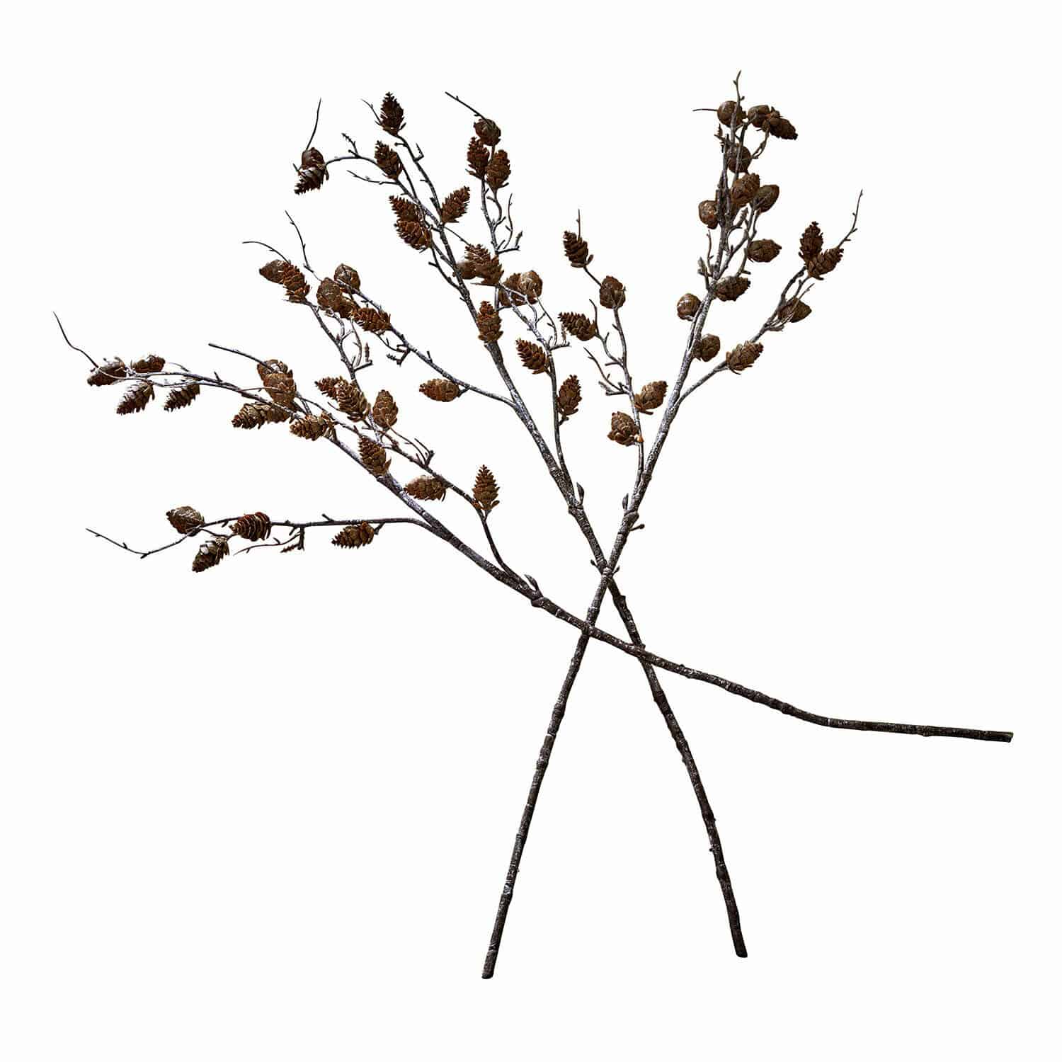 Lot de 3 branches décoratives Eisvyn Branches décoratives avec pommes de pin marron naturel pour décoration intérieure