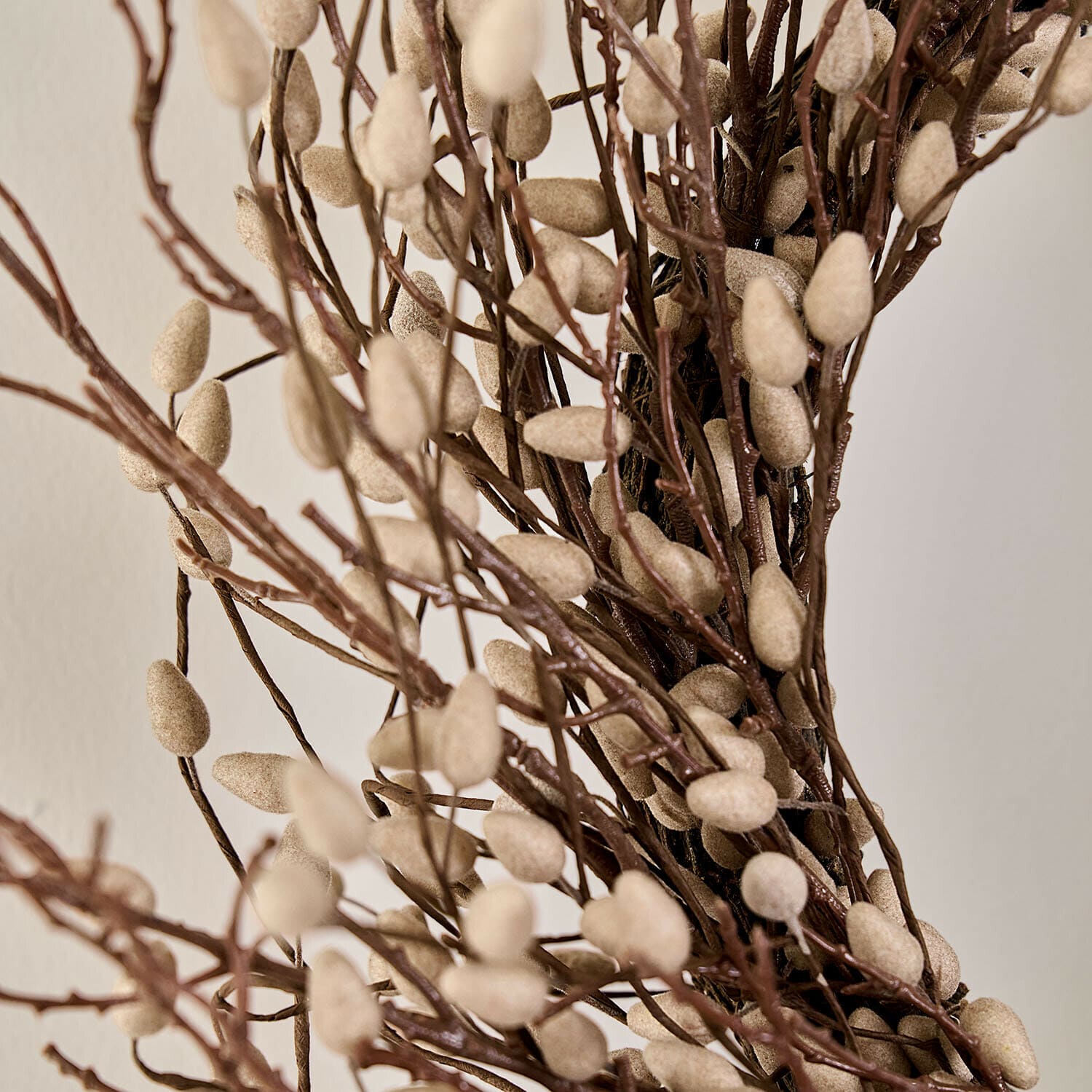 Couronne Rivolex