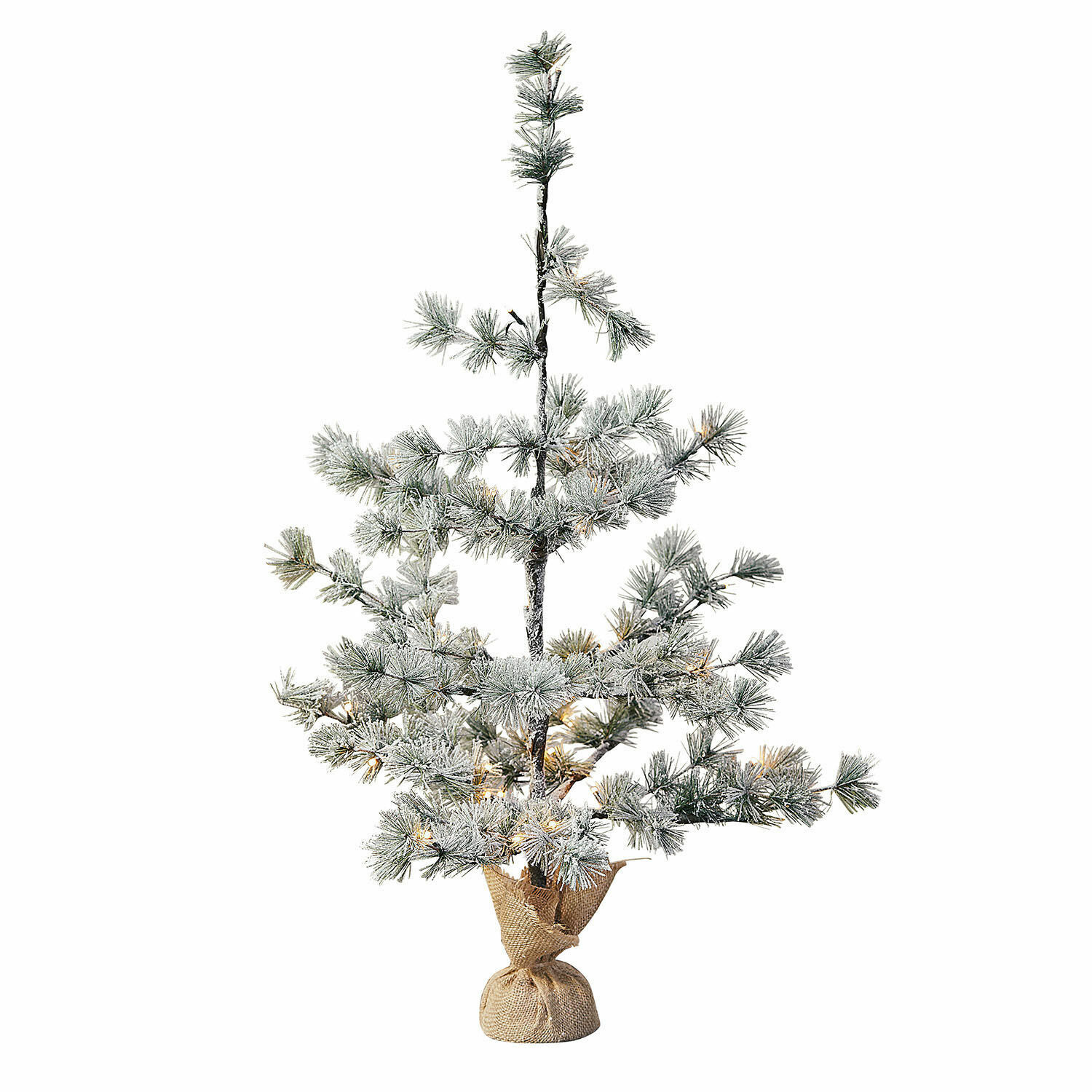 Sapin de Noël Falkirk