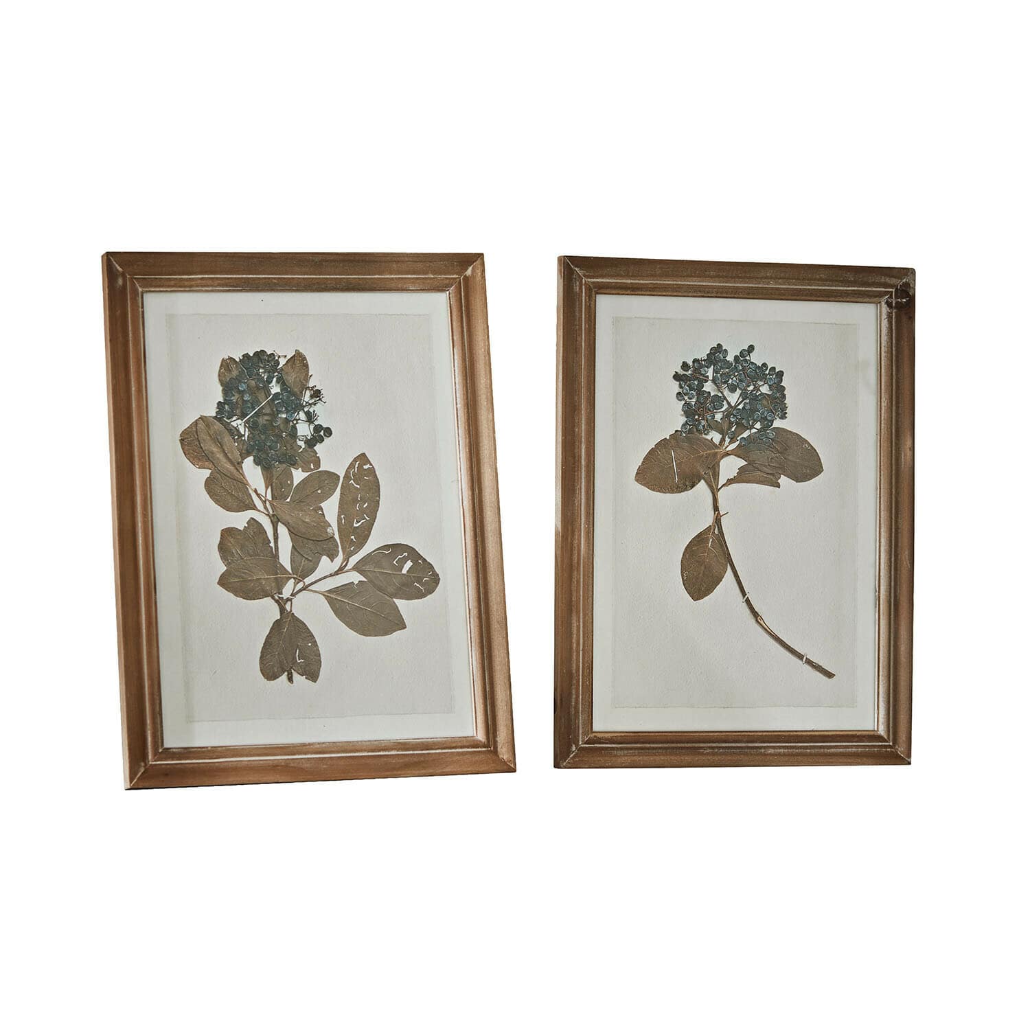 Image set de 2 Tanneau