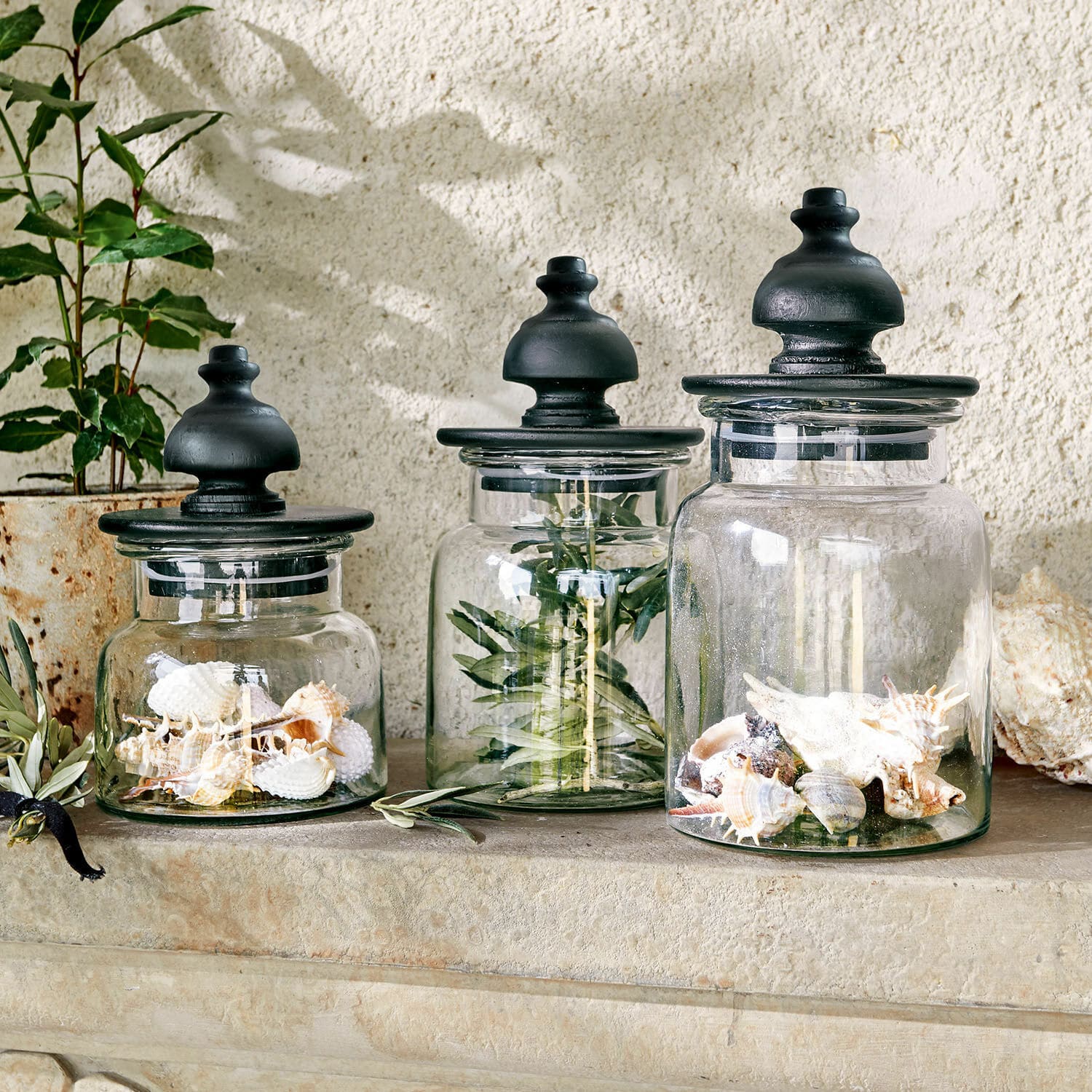 Lot de 3 pots Hakeen Ensemble de trois bocaux en verre avec couvercles noirs, décorés de coquillages et de branches vertes