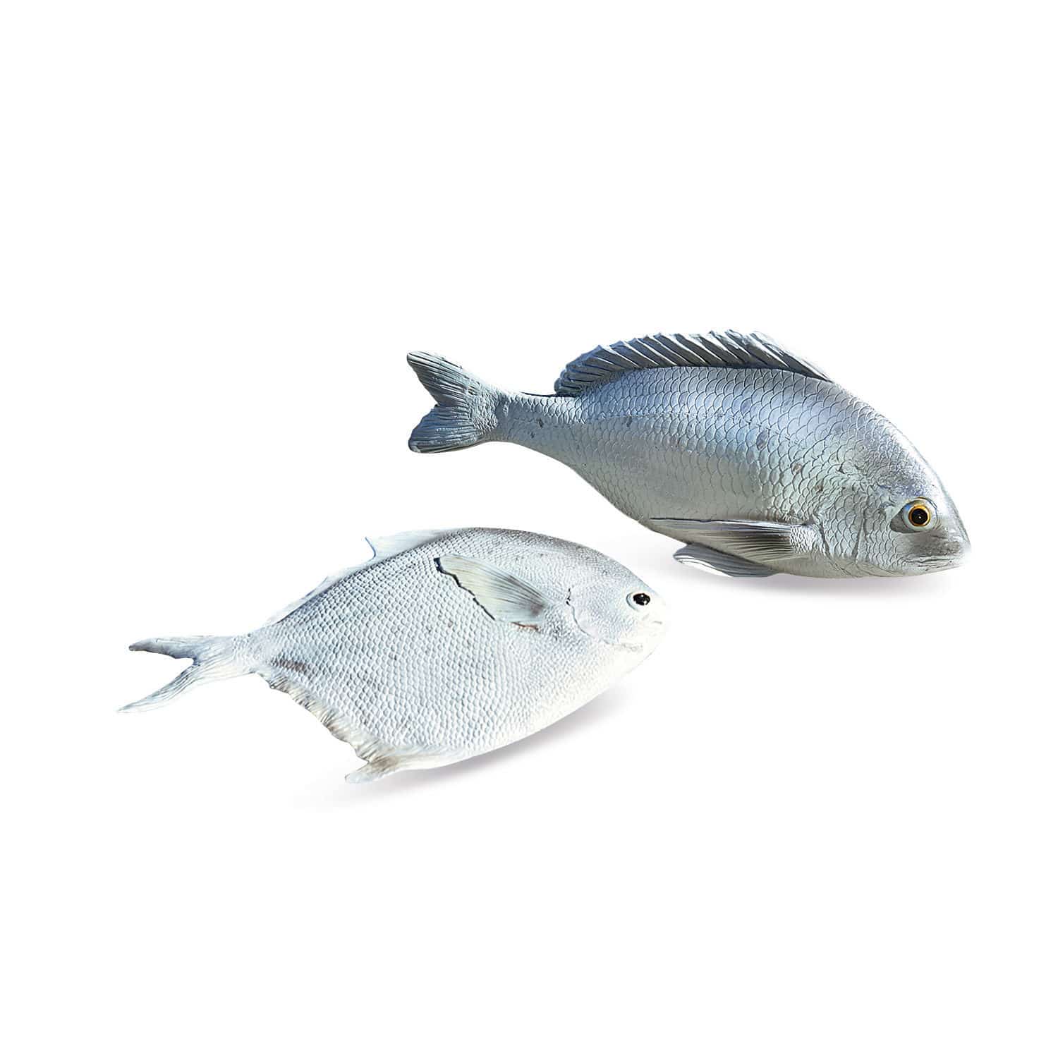 Lot de 2 poissons Maleko