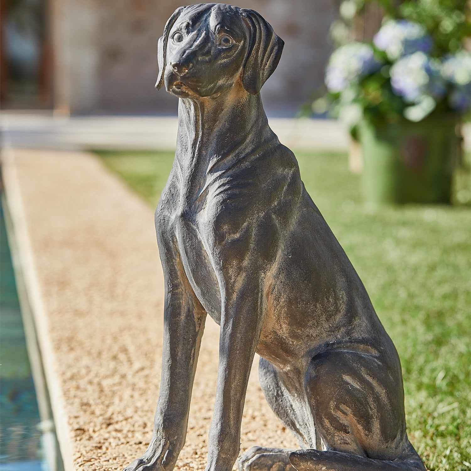 Chien Healy