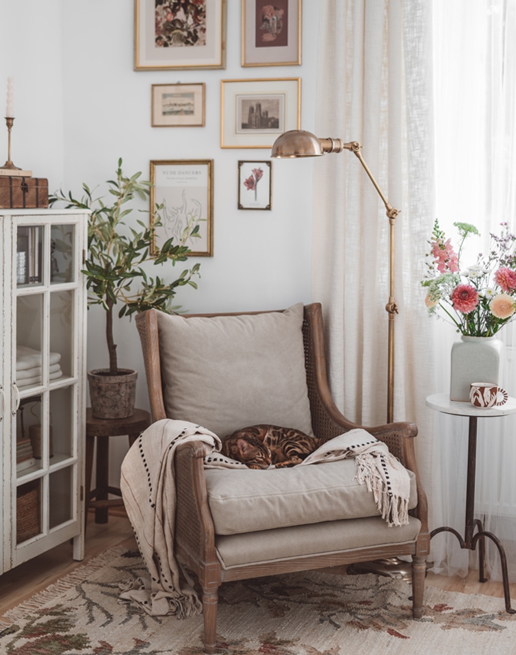 Fauteuil beige confortable avec coussin et plaid, chat endormi, ambiance lumineuse avec lampe et fleurs