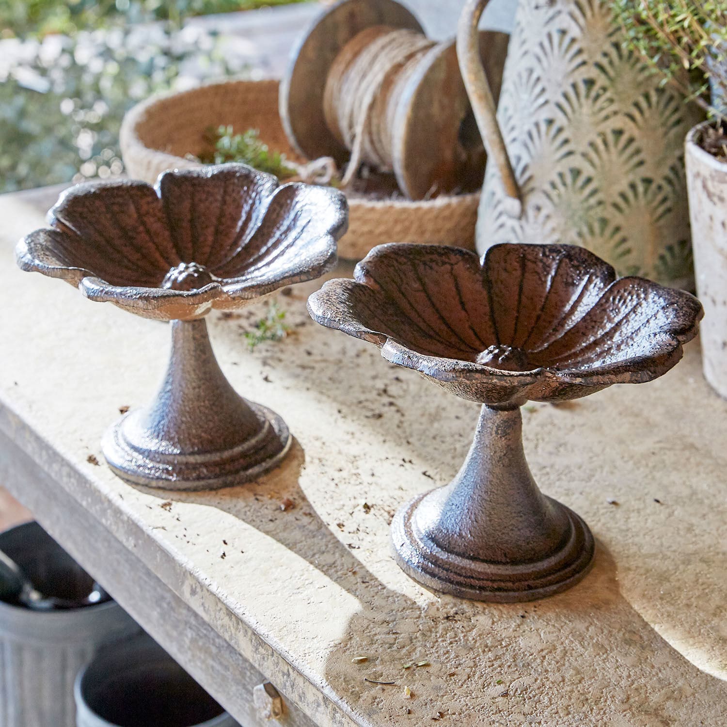Lot de 2 coupes Arans