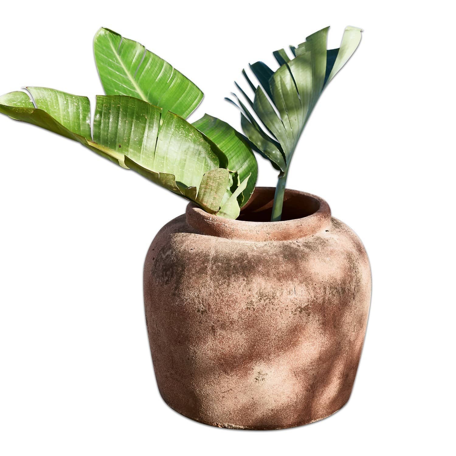 Cache-pot Isabella