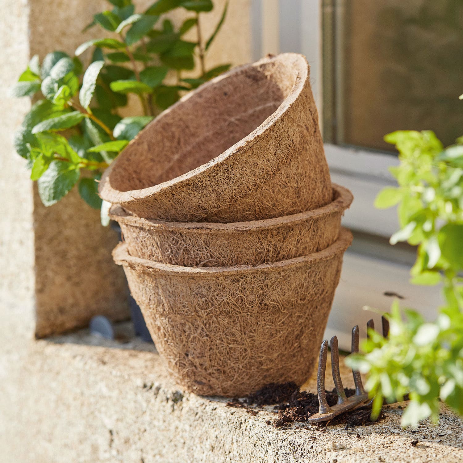 Lot de 3 pots à semis Coco
