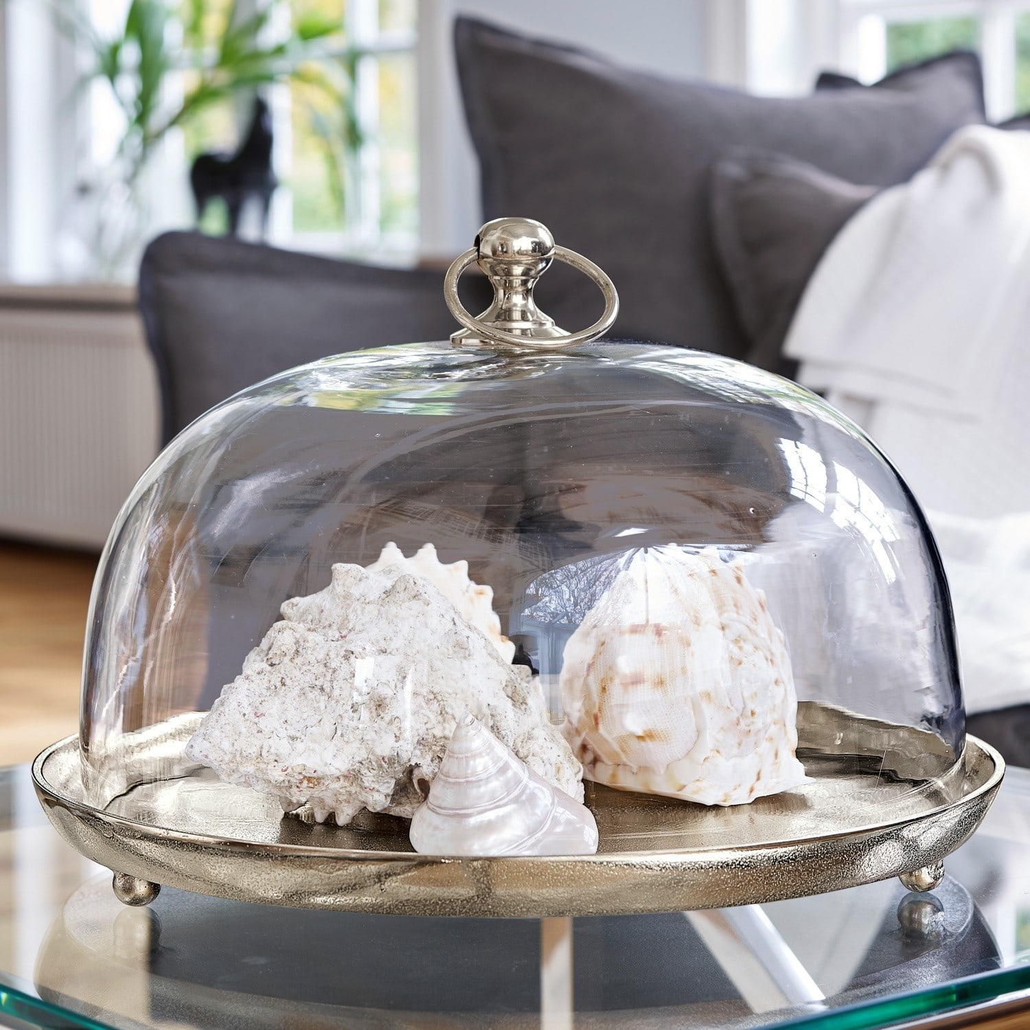 Cloche en verre avec plateau Voilá