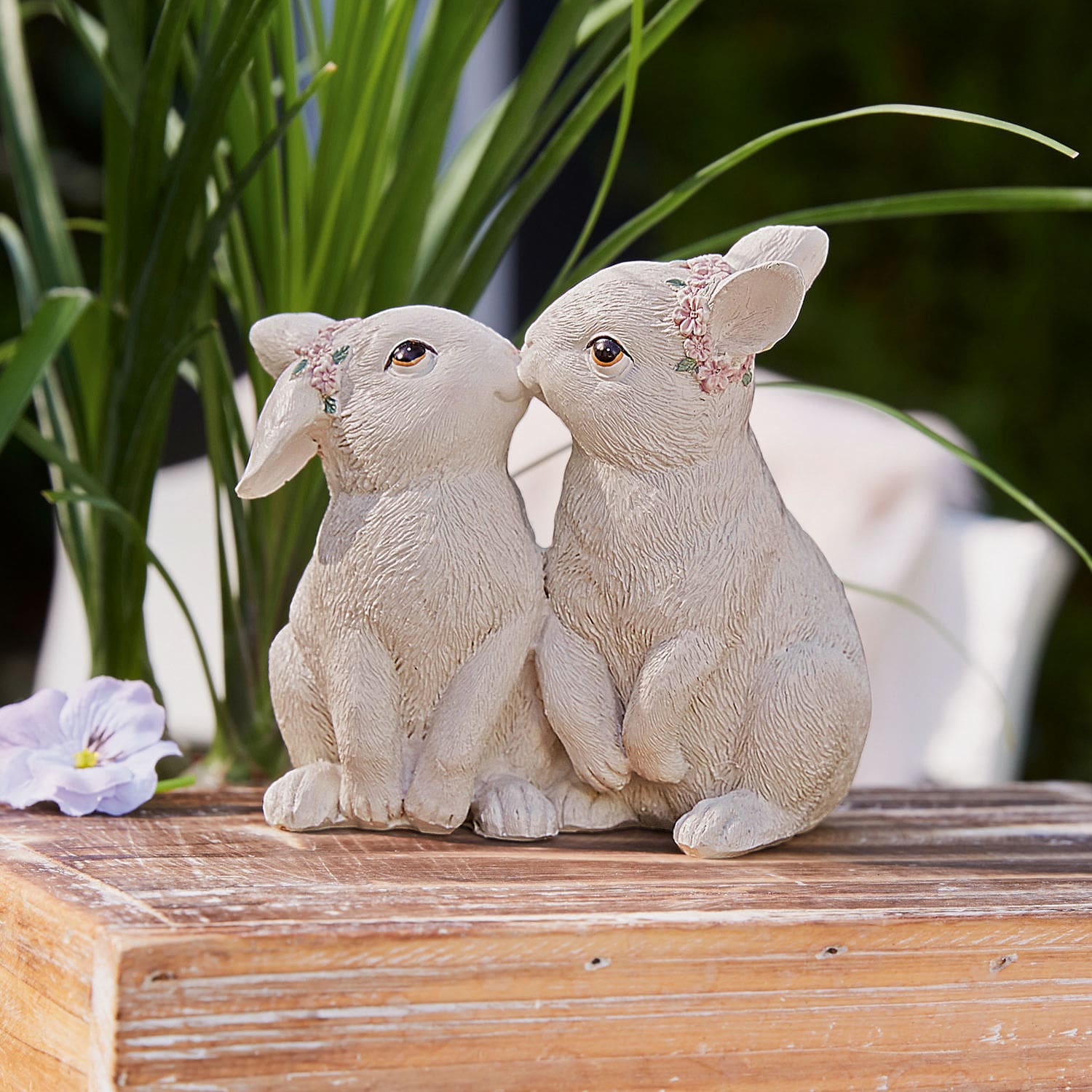 Lapins Soel