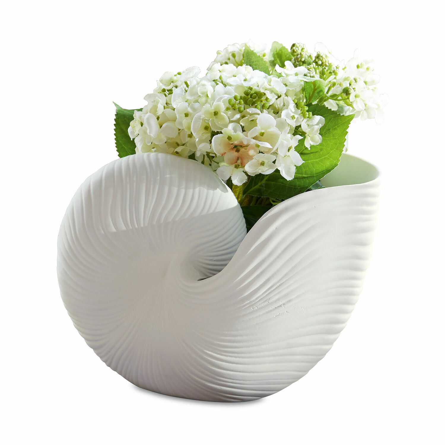 Cache-pot Manteur Vase en céramique blanche en forme de coquillage avec texture, décoré de fleurs blanches, design moderne
