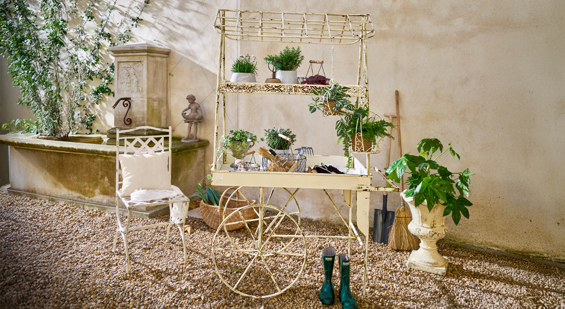Plantes vertes vintage
