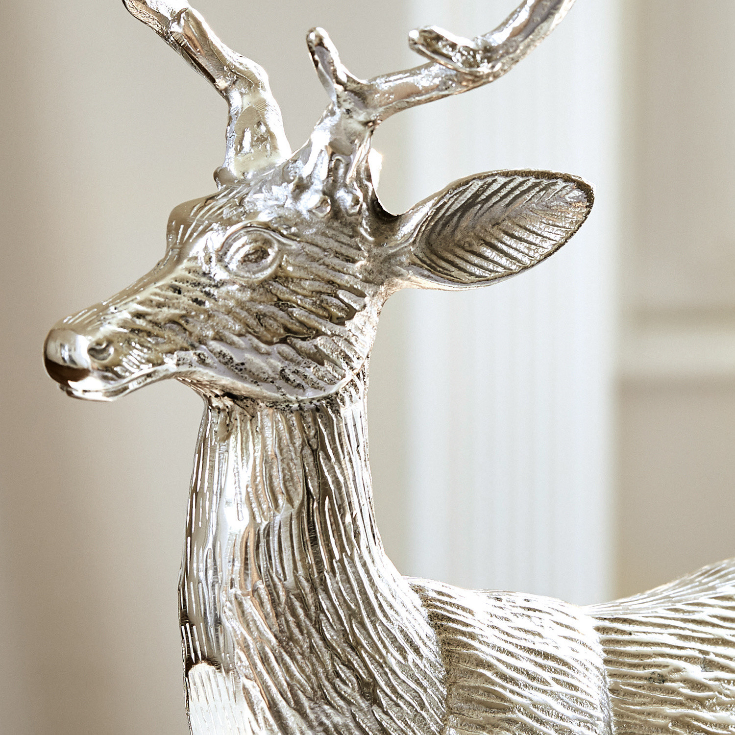 Cerf Sechelt
