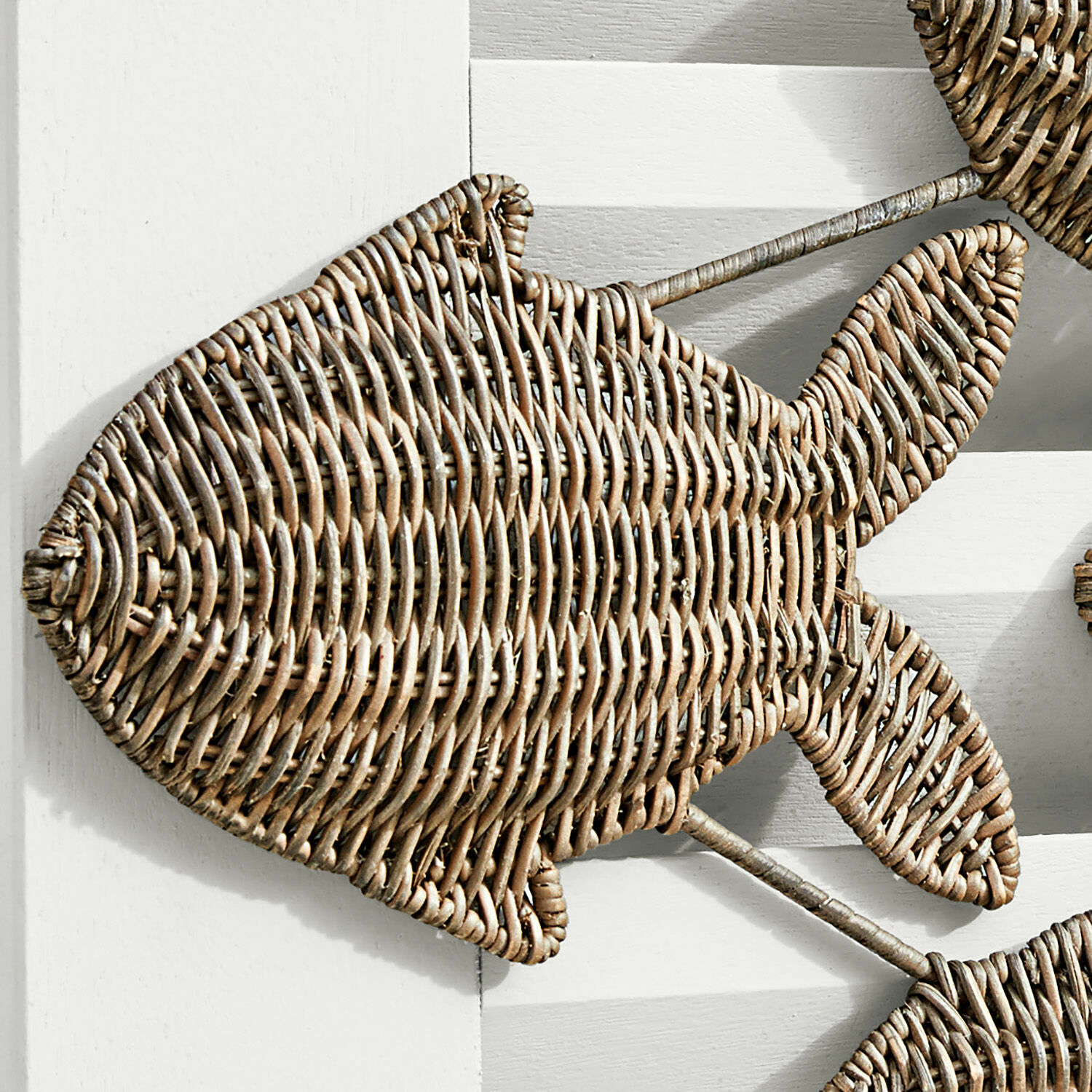 Poissons décoratifs Vendée