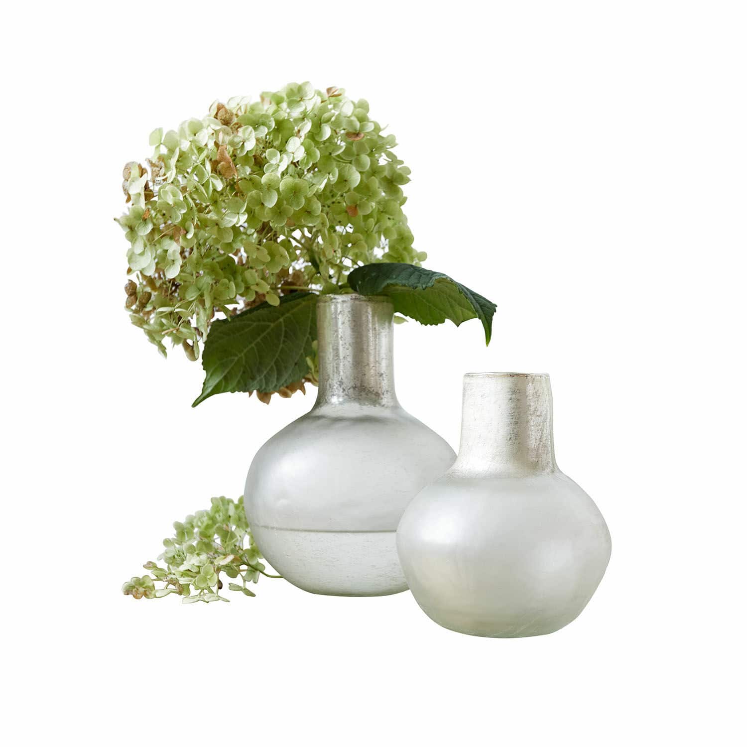 Lot de 2 vases Nazira Deux vases en verre givré couleur laiteuse avec fleurs vertes d'hortensia pour décoration intérieure
