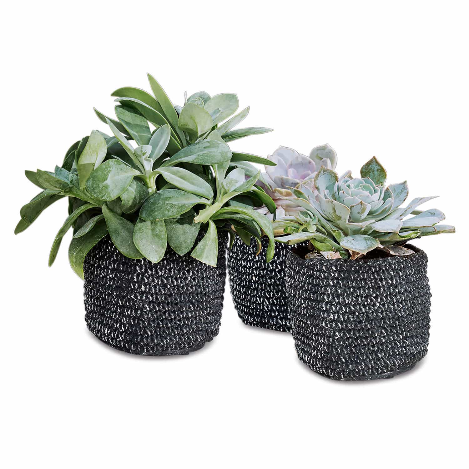 Lot de 3 cache-pots Celon