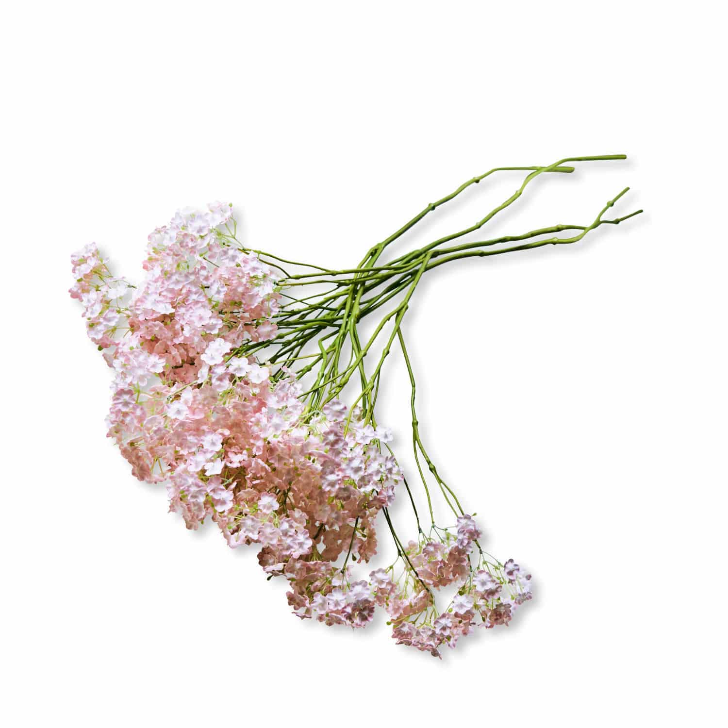 Lot de 4 décorations florales Calanthe Fleurs roses délicates avec tiges vertes sur fond blanc, décoration florale pour intérieur.