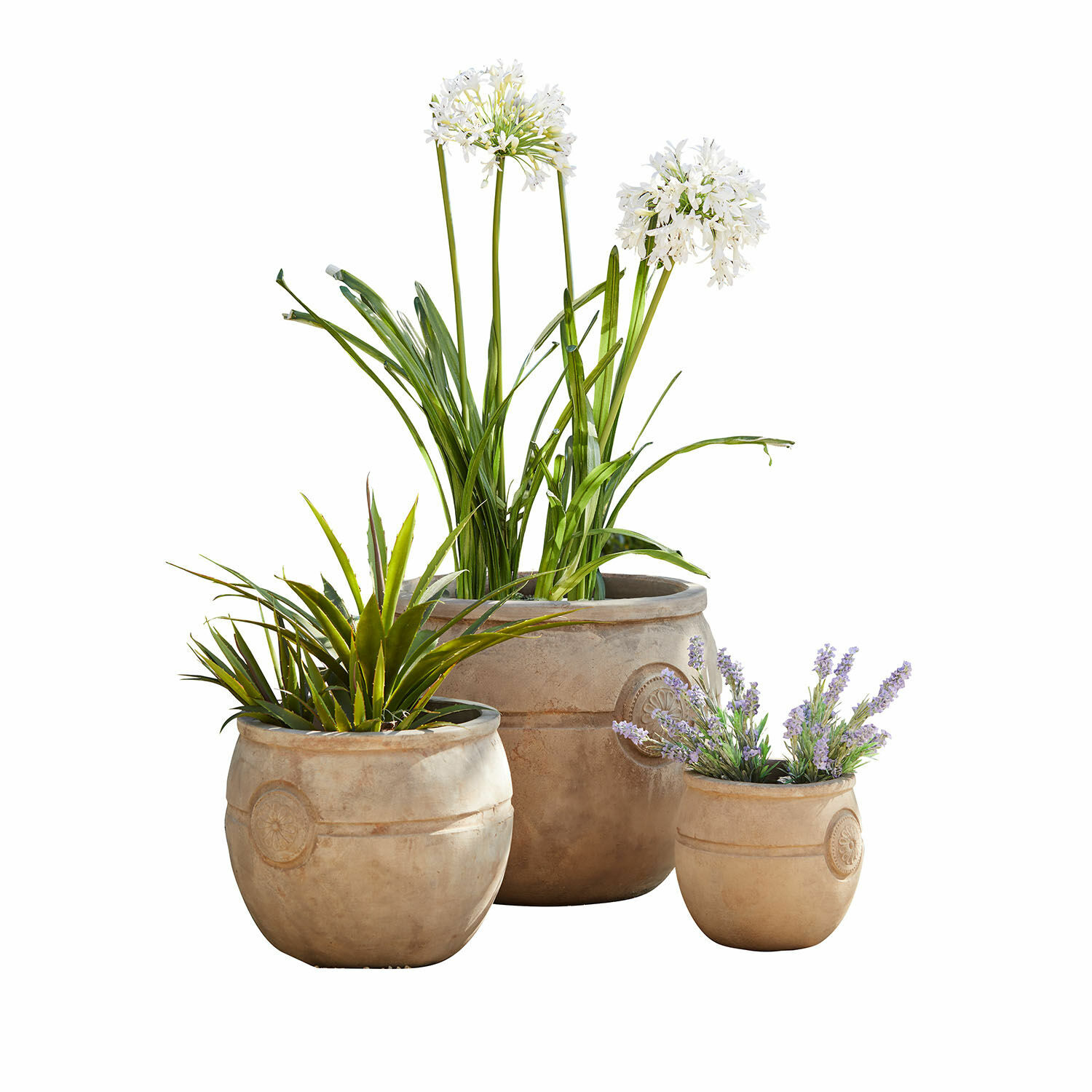 Lot de 3 pots de fleurs Clorivon Ensemble de trois pots beiges avec plantes décoratives pour jardin et intérieur