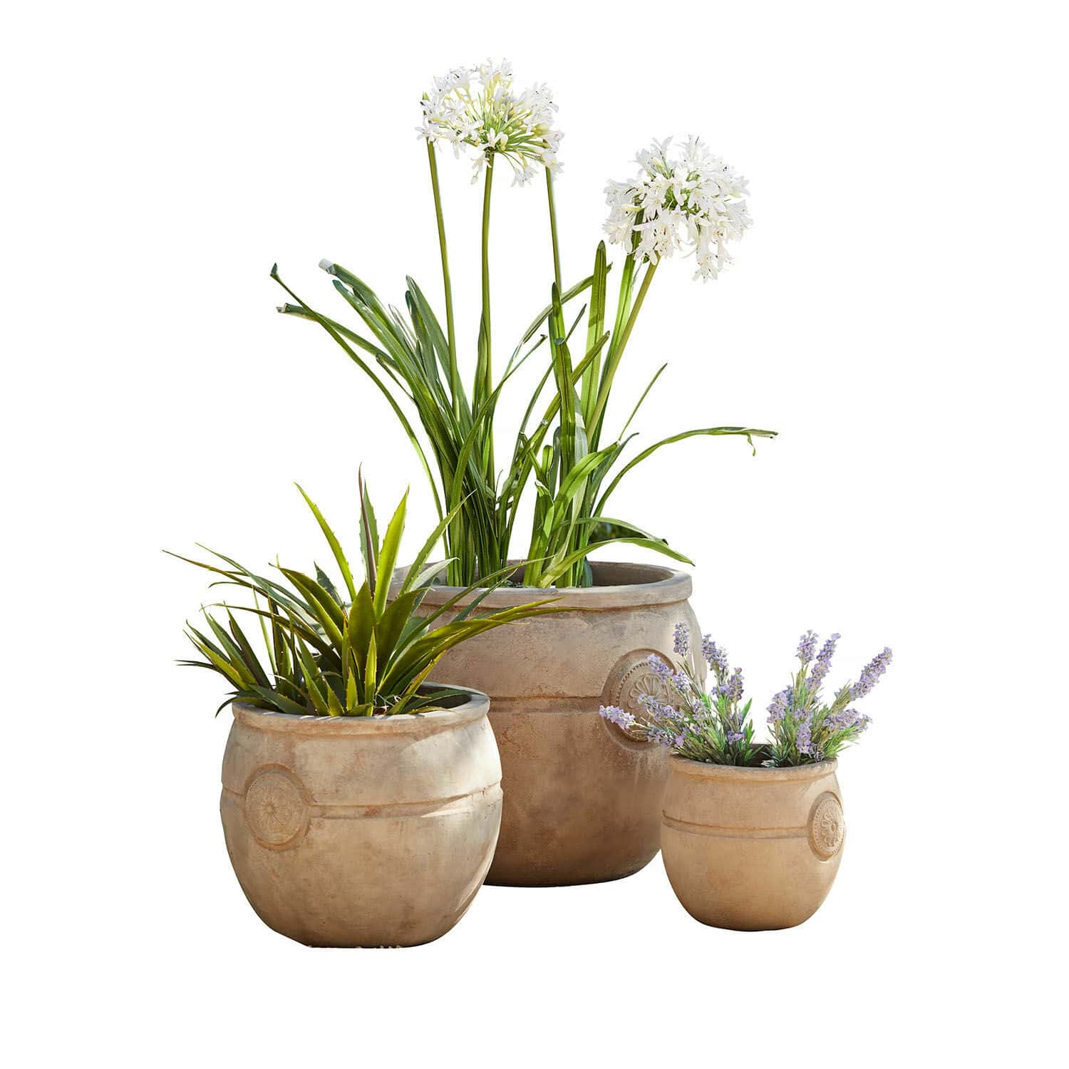 Lot de 3 pots de fleurs Clorivon Ensemble de trois pots beiges avec plantes décoratives pour jardin et intérieur