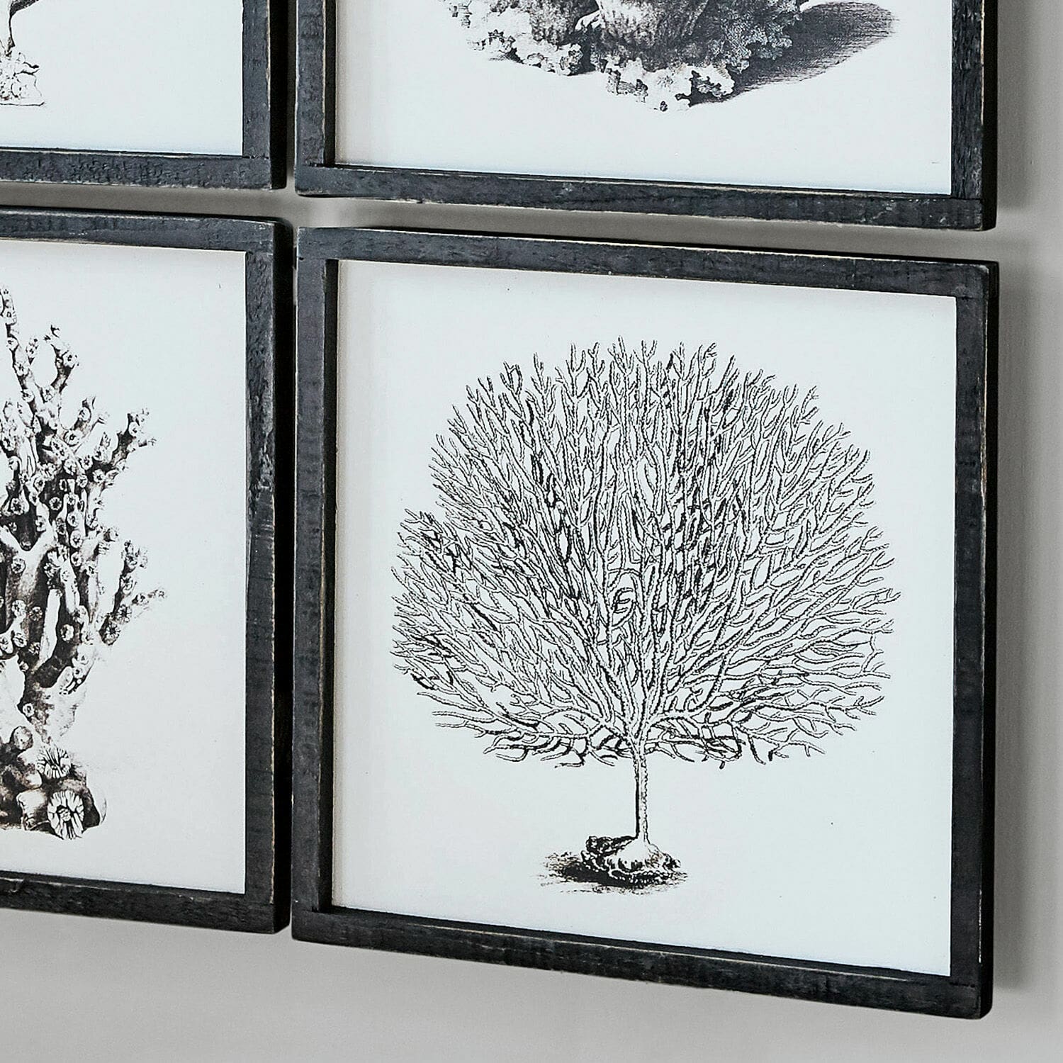 Lot de 6 tableaux Darney