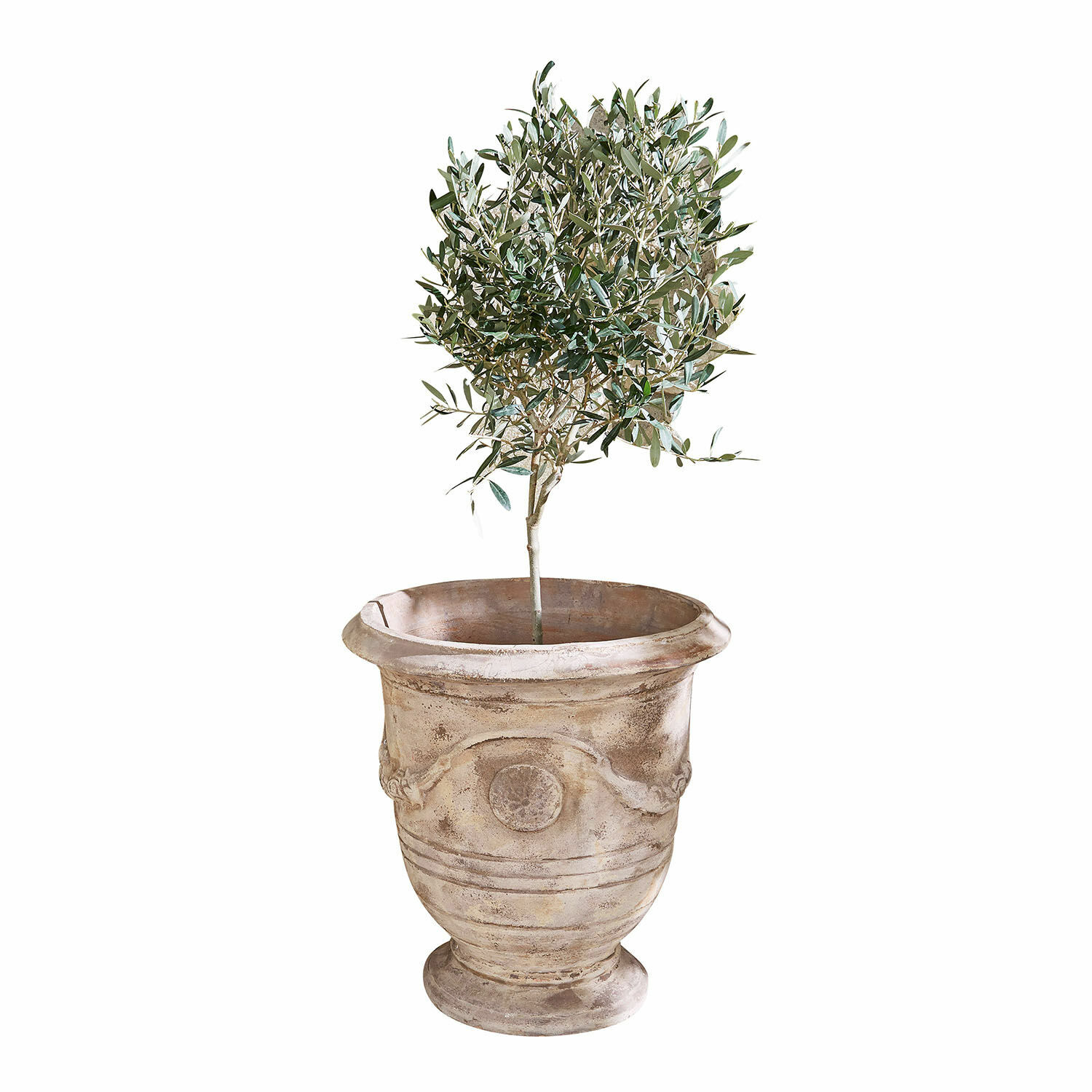 Cache-pot Garwood Cache-pot en terre cuite beige avec plante verte, idéal pour décoration intérieure et extérieure