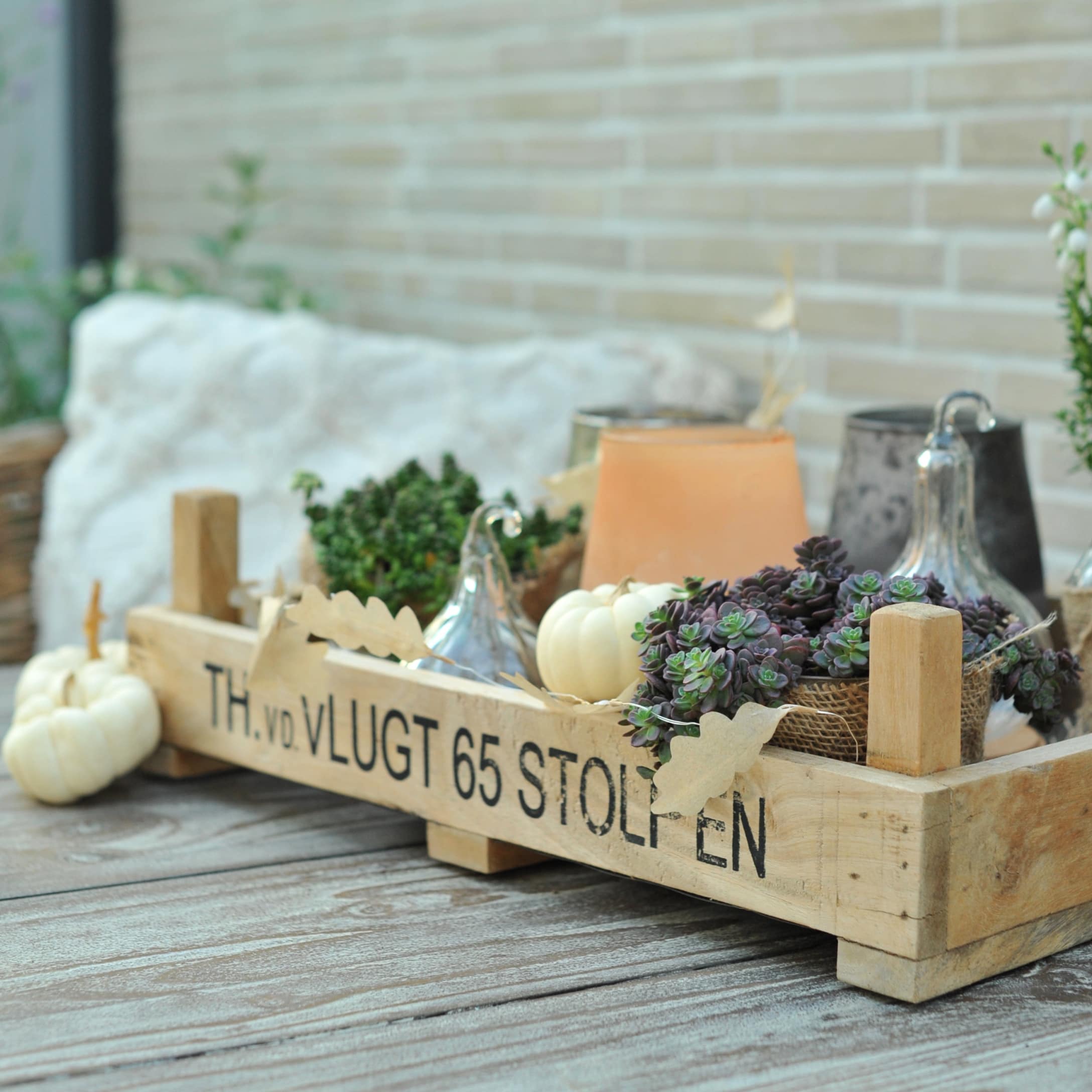 Caisse en bois décorative avec succulentes et petites citrouilles blanches pour décoration automnale