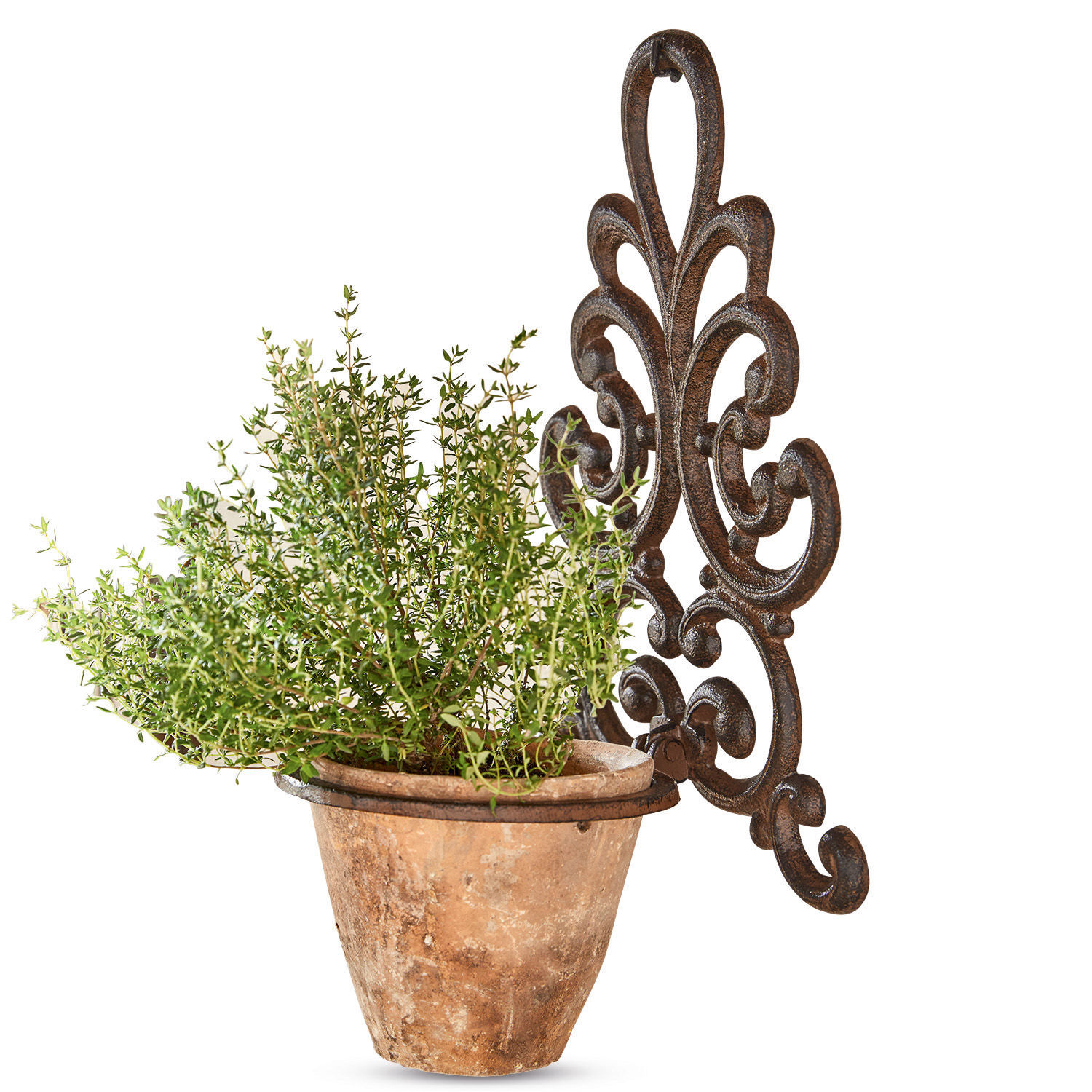 Porte-plantes Cecile Pot en terre cuite avec plante verte fixé sur un support mural en métal brun décoratif