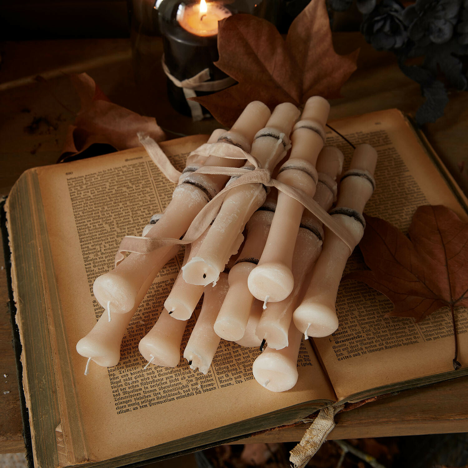 Lot de 12 bougies Saelith Lot de bougies crème en cire d'abeille avec anneaux noirs, attachées par un ruban sur des livres anciens