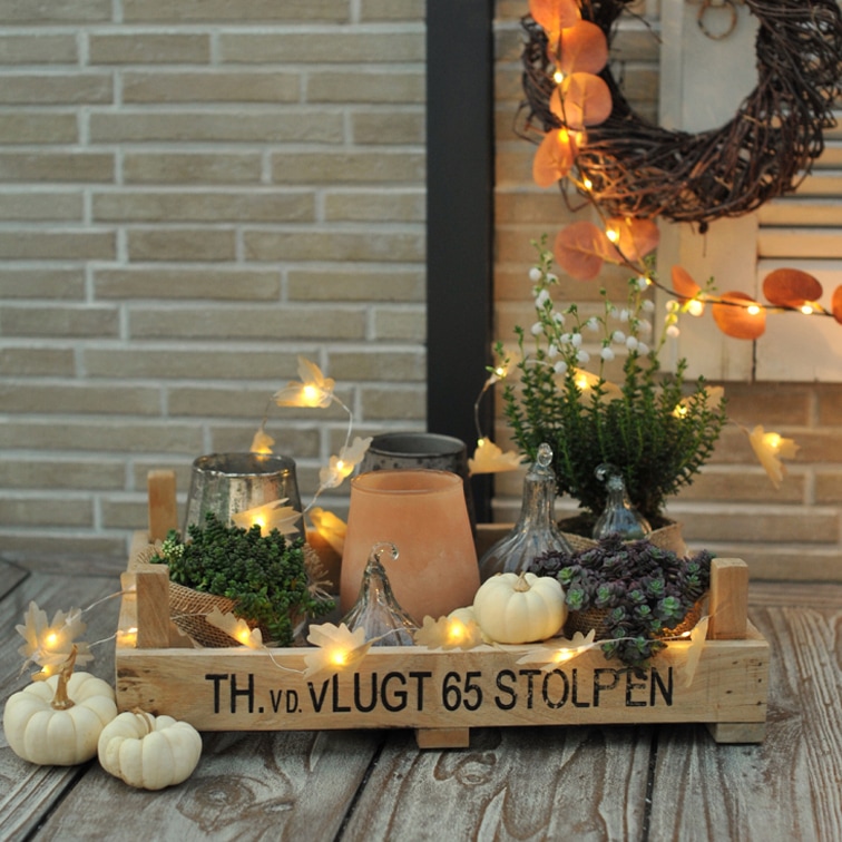 Sublime arrangement d’automne