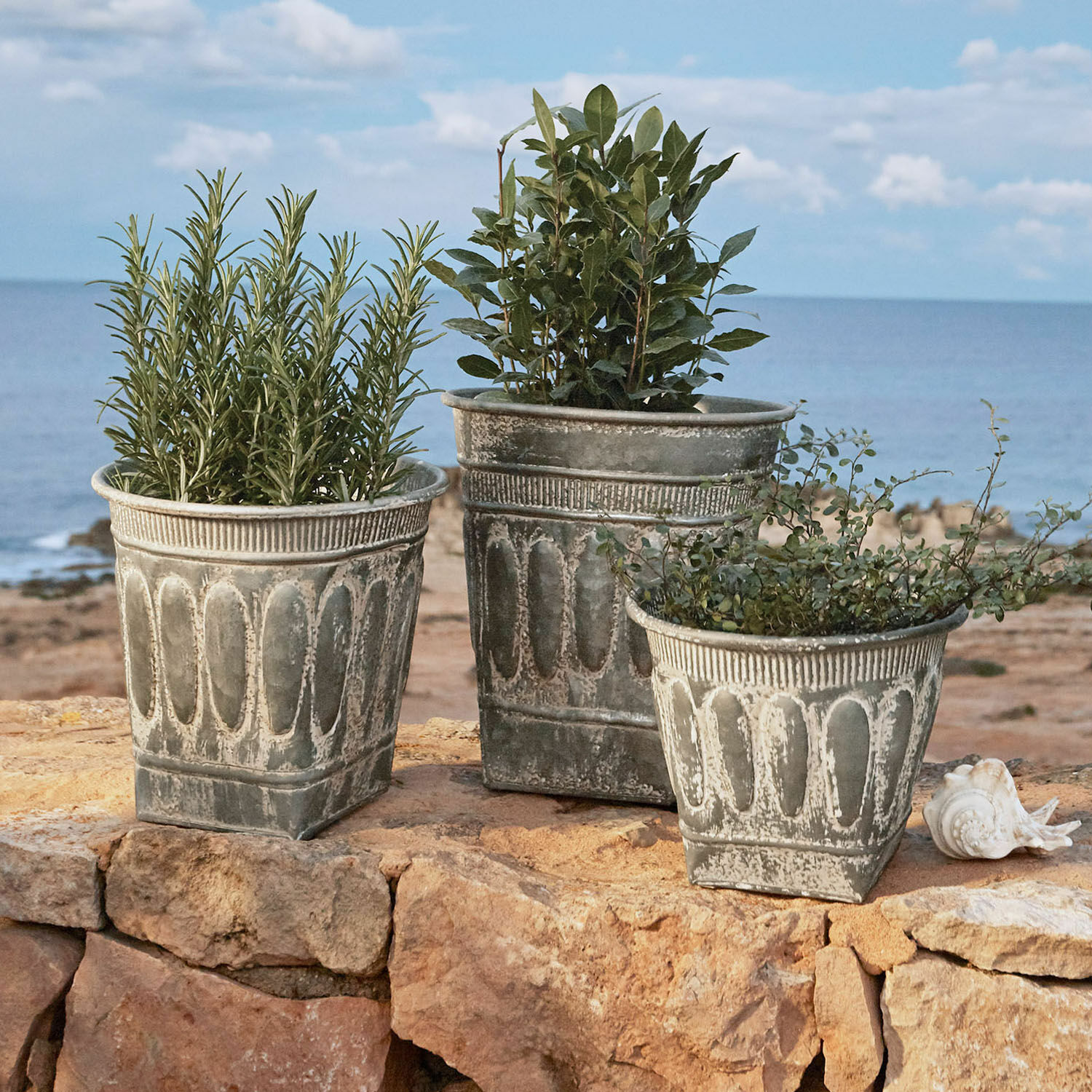 Lot de 3 cache-pots Bakersfield Ensemble de trois pots décoratifs en métal gris avec plantes, en bord de mer sur des rochers