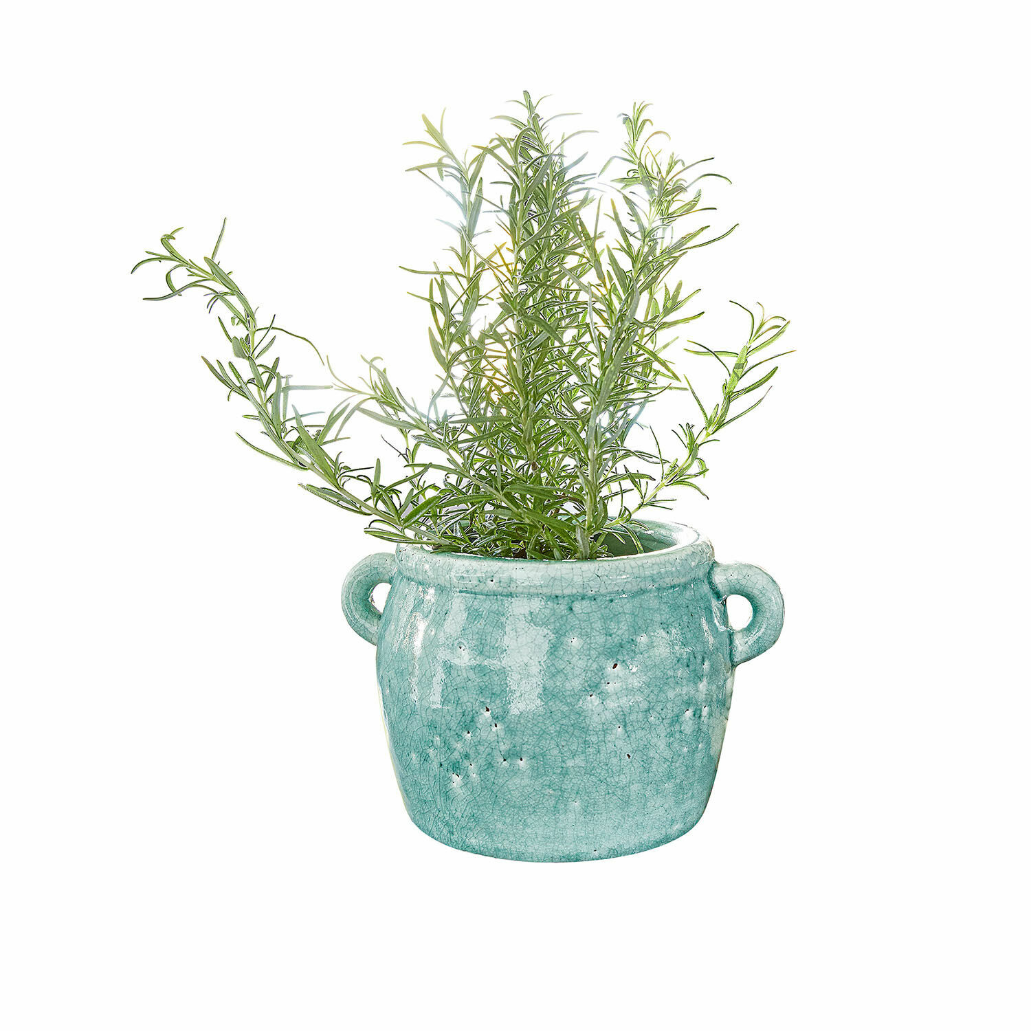 Vase Elvin Plante verte dans un pot en céramique turquoise avec poignées sur fond blanc, décoration intérieure
