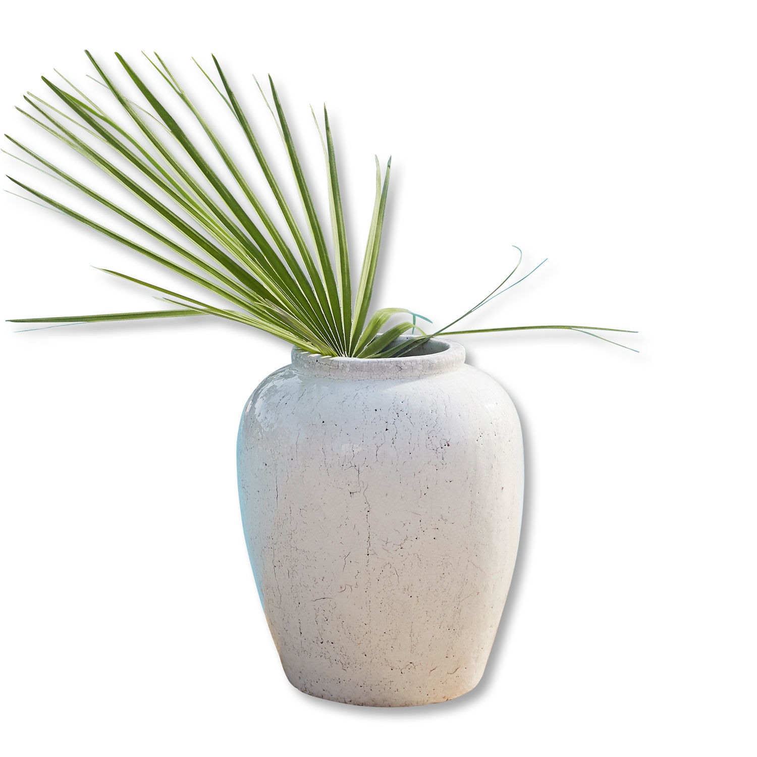 Vase Manolita
