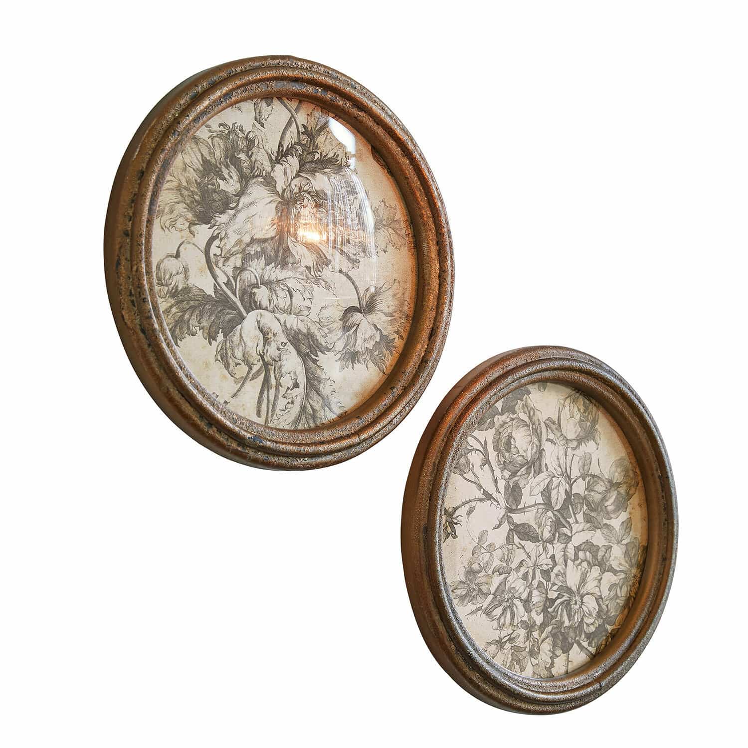 Lot de 2 tableaux Phaurette Deux cadres ovales en métal brun avec illustrations florales en noir et blanc pour décoration murale