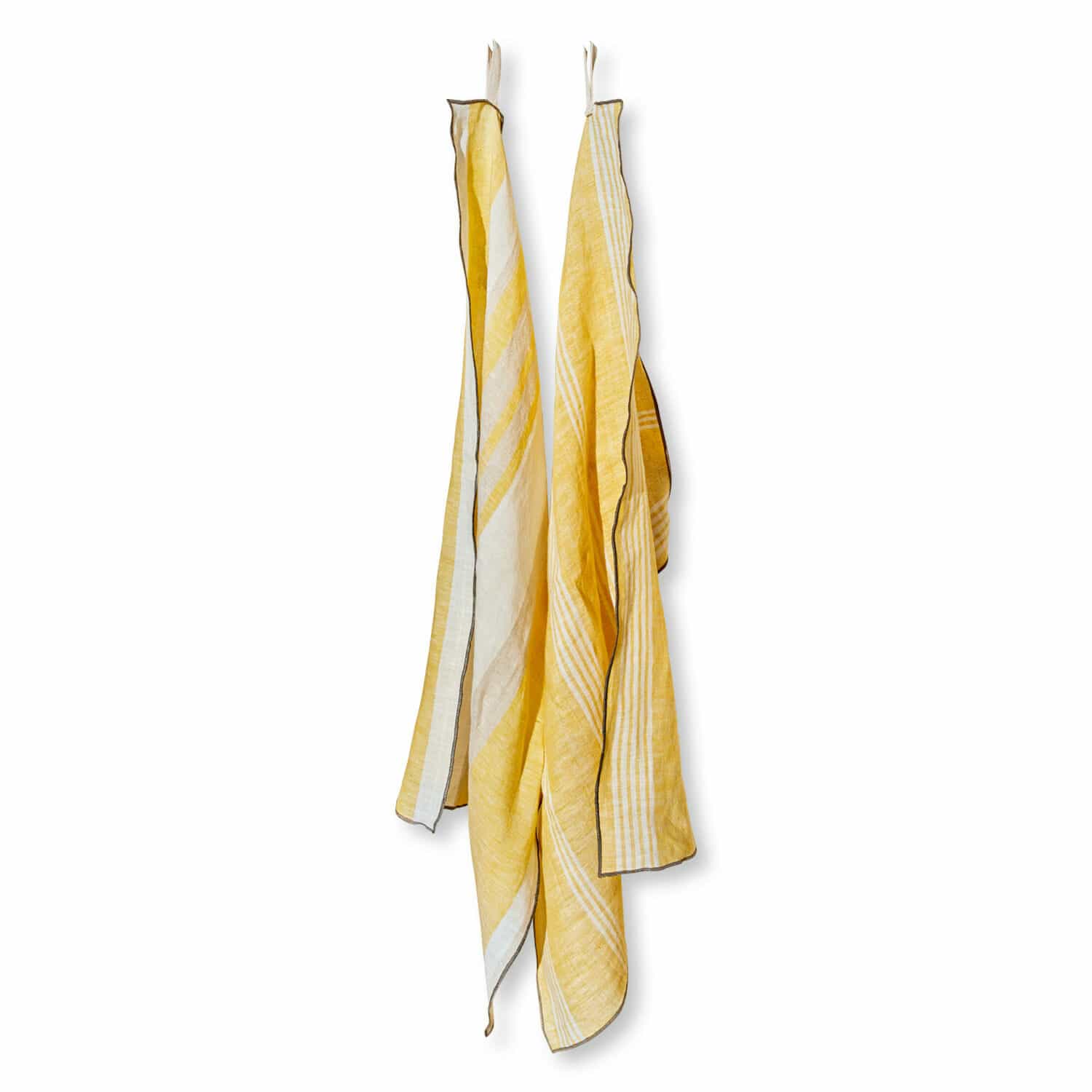 Lot de 2 torchons Patin