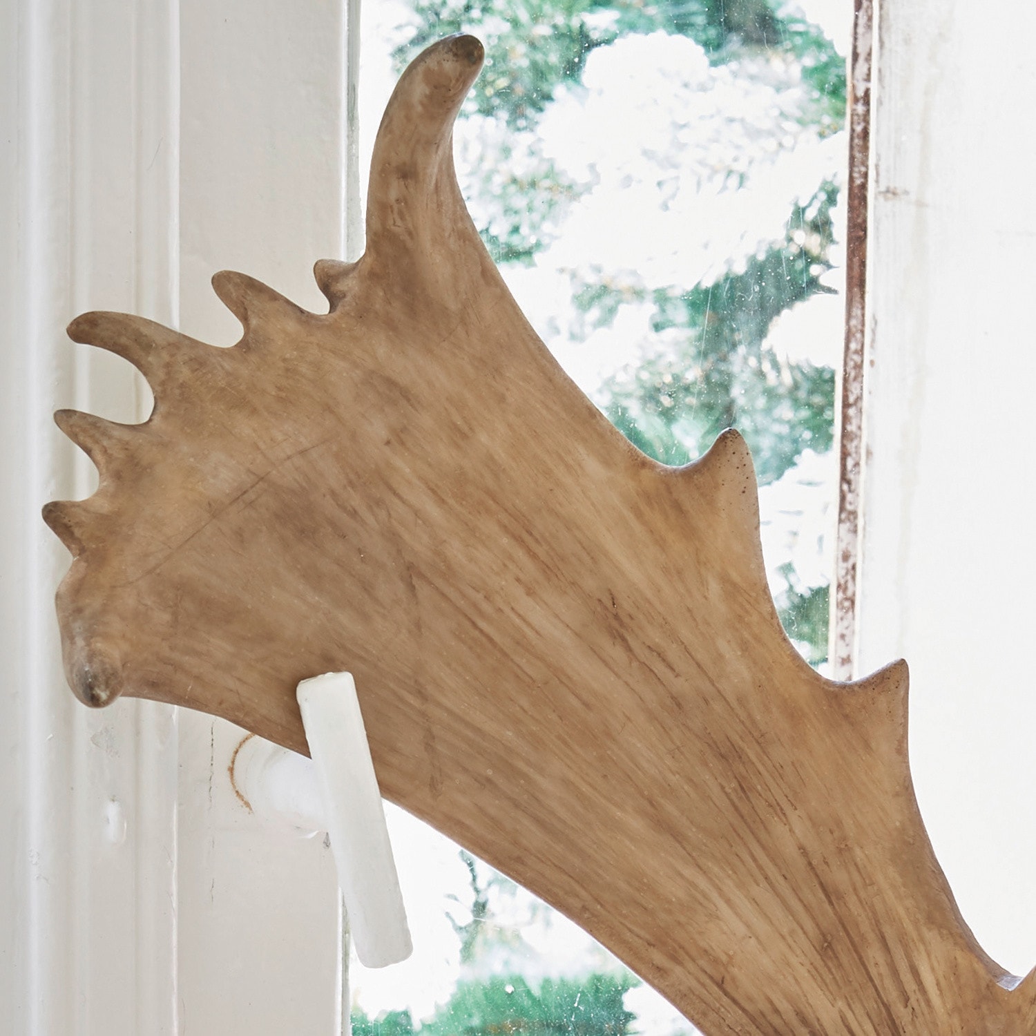 Bois de cerf ornementaux Laurence
