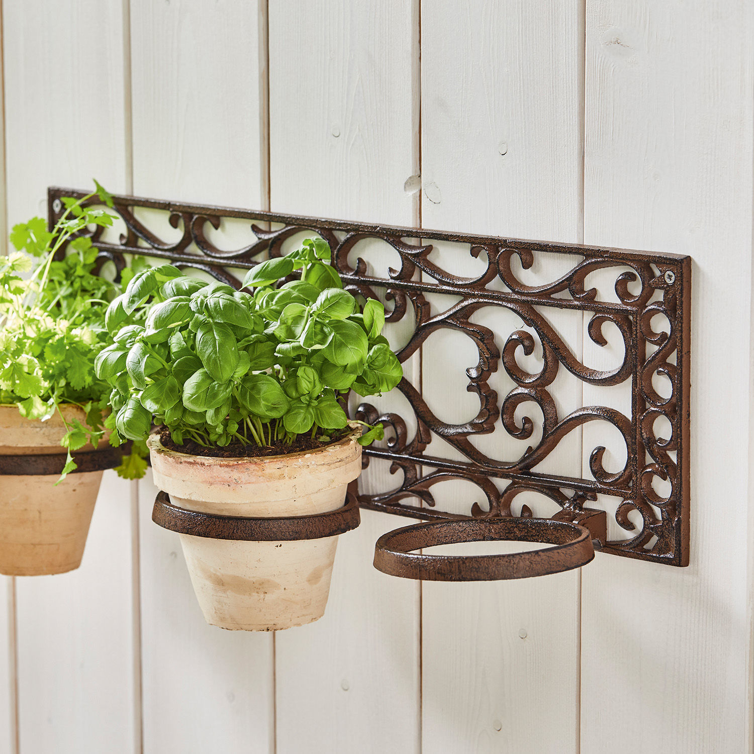 Porte-plantes Plesnois