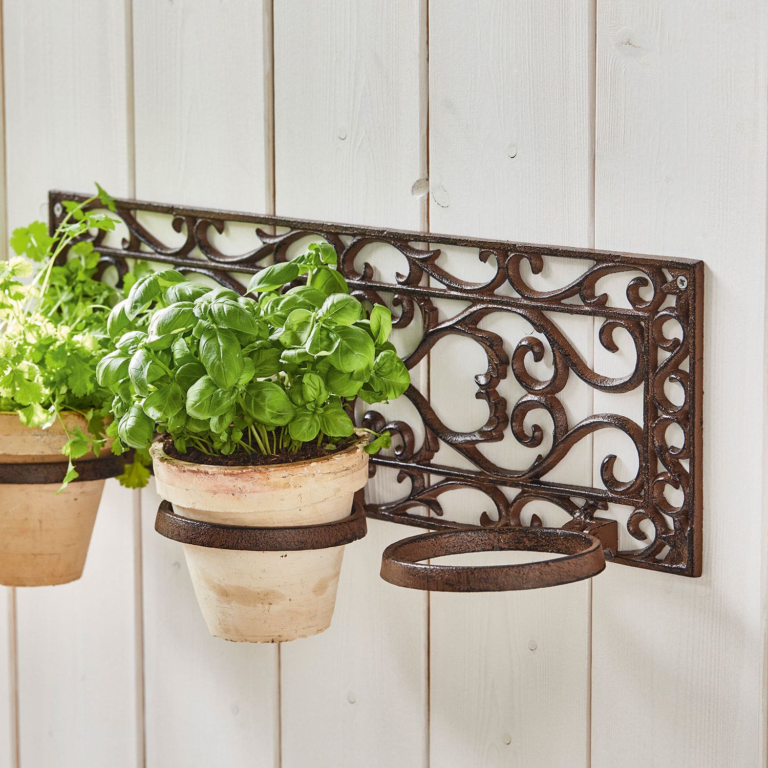 Porte-plantes Plesnois
