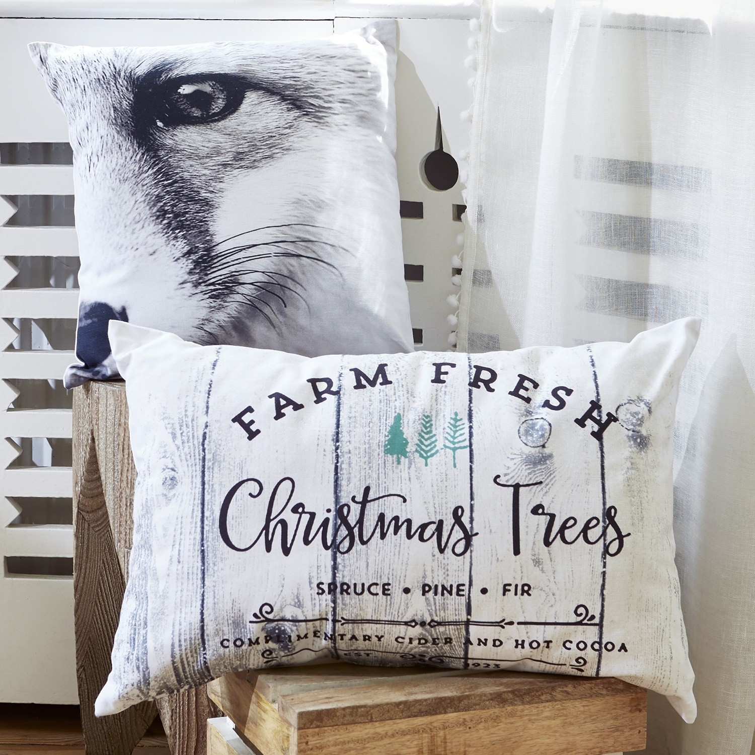 Lot de 2 coussins Charlbury