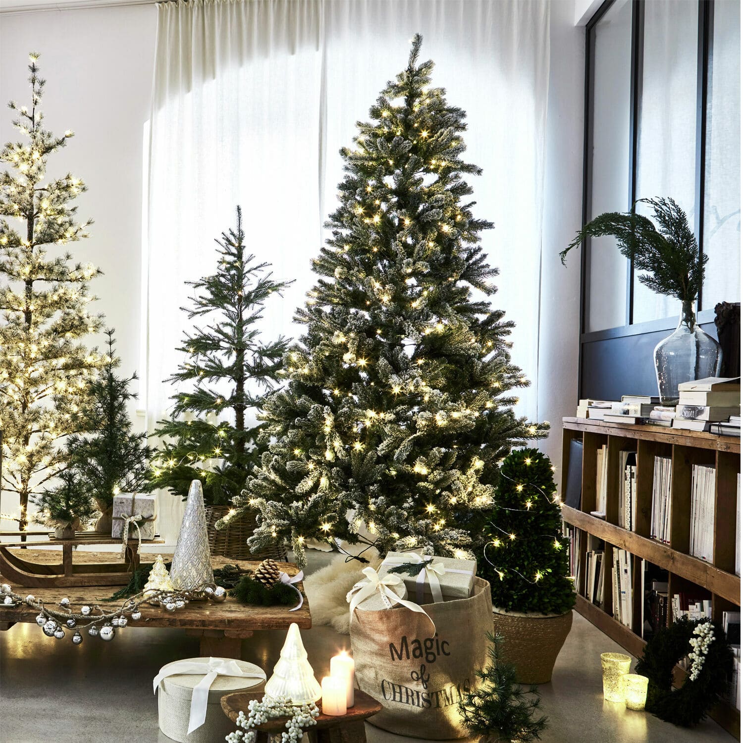 Sapin de Noël Mannier