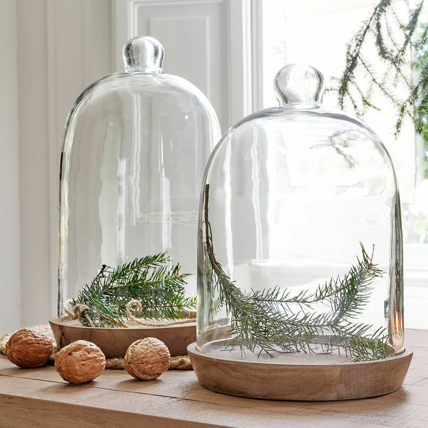 Lot de 2 cloches en verre avec plateaux New Hampshire