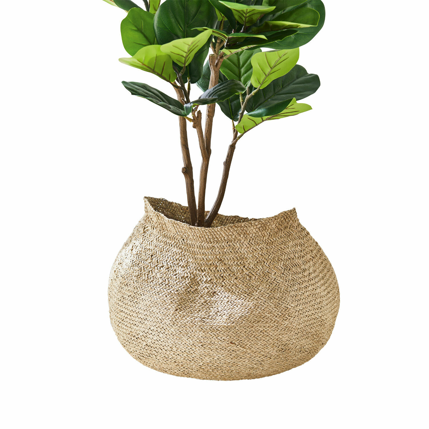 Panier Edvin