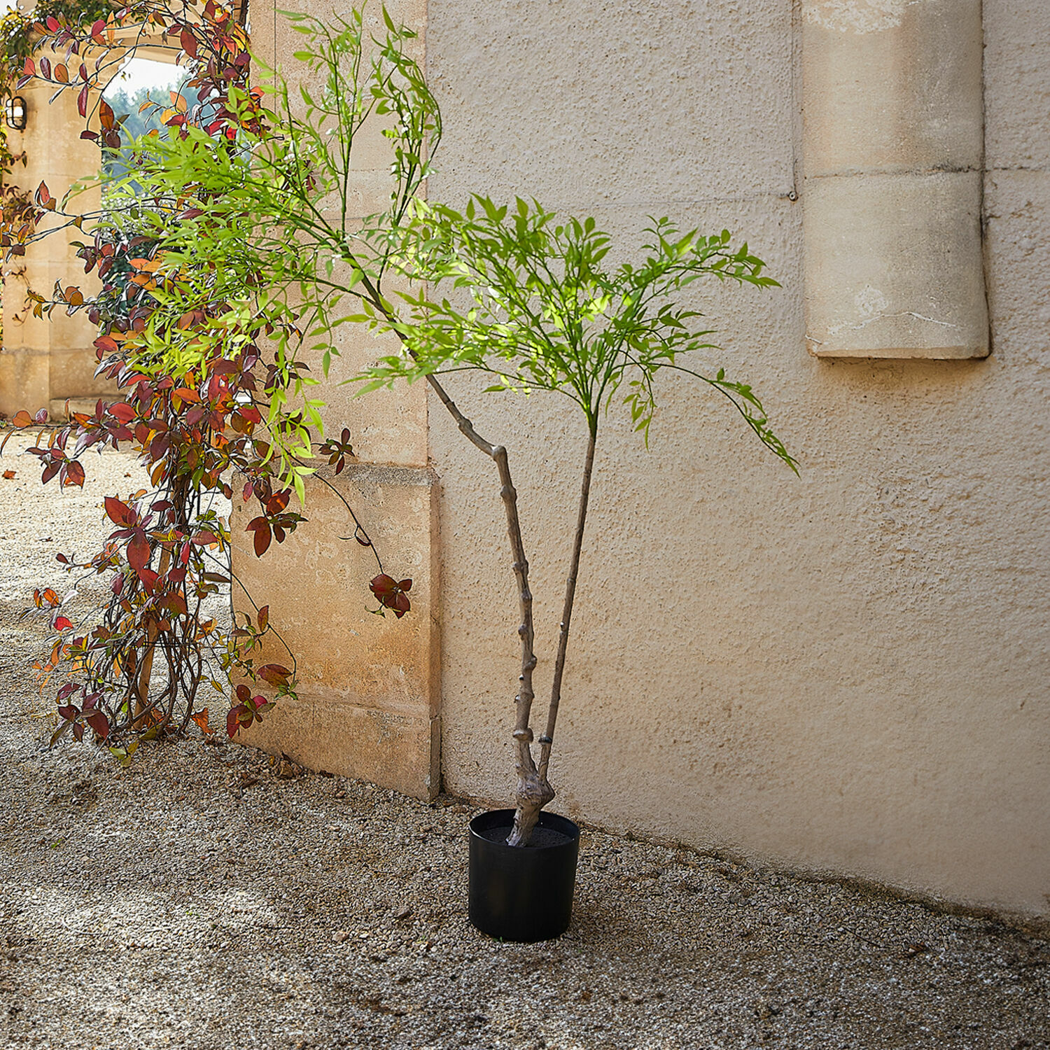 Plante en pot décorative 2d choix Avenelle