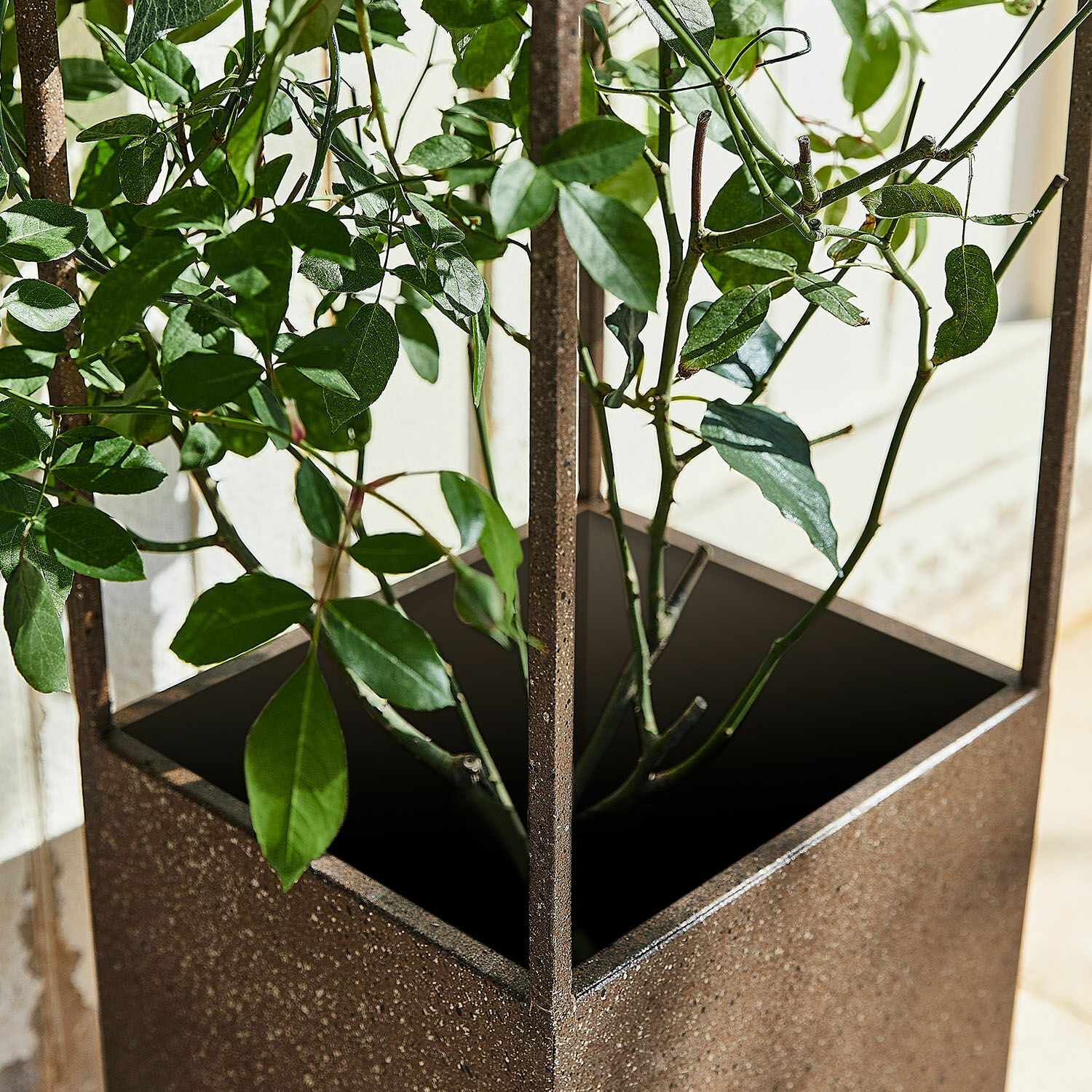 Support pour plantes grimpantes Elixvo