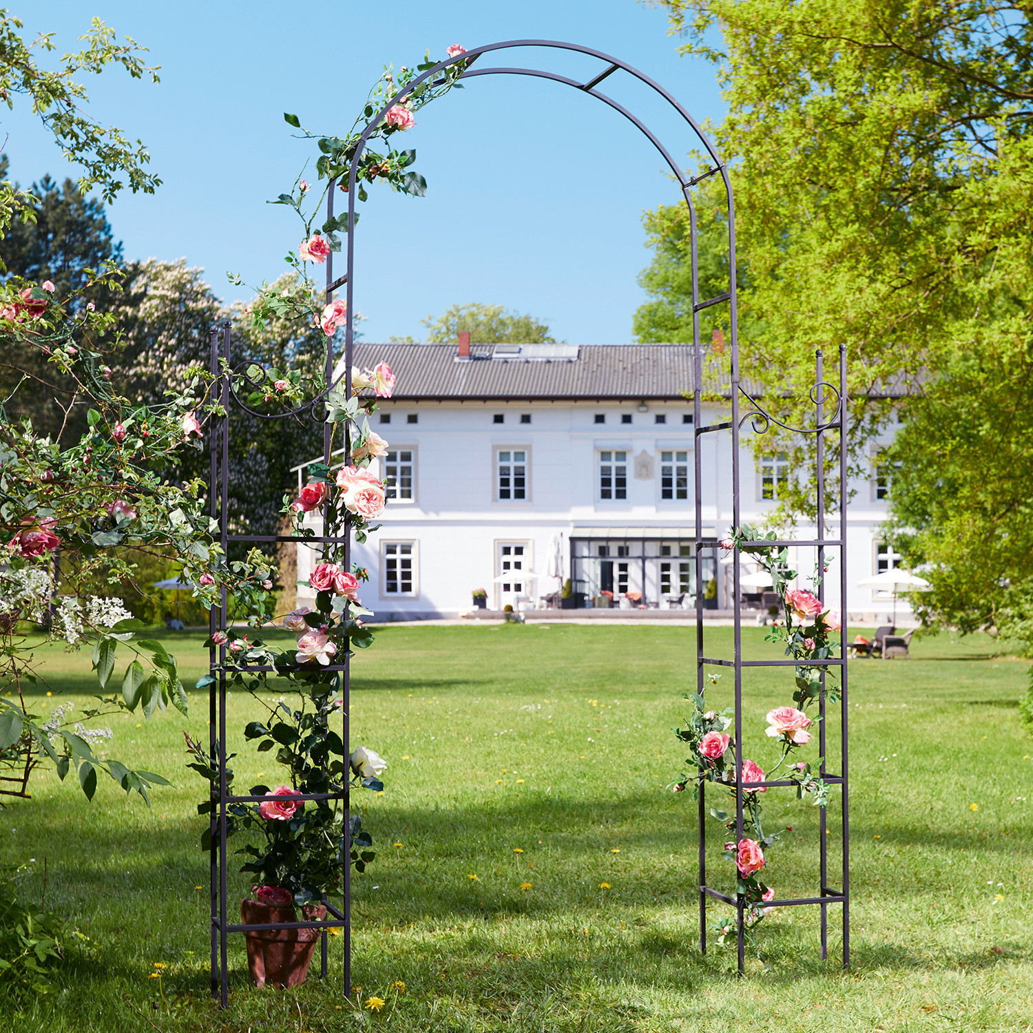 Arche à rosier Irvell