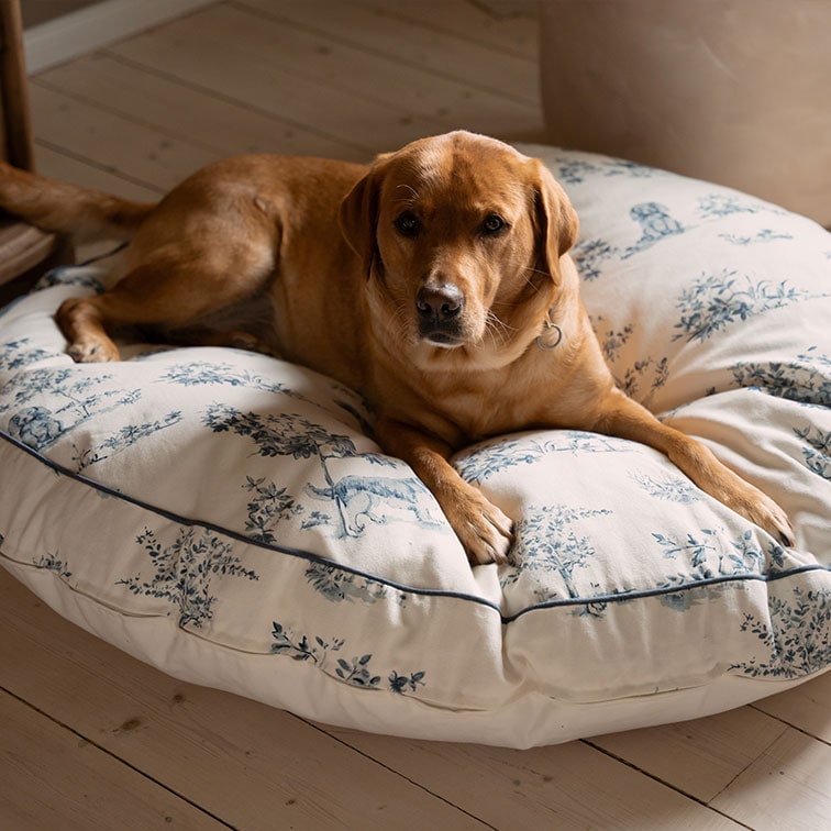 Chien marron couché sur un grand coussin en coton crème avec motif végétal bleu