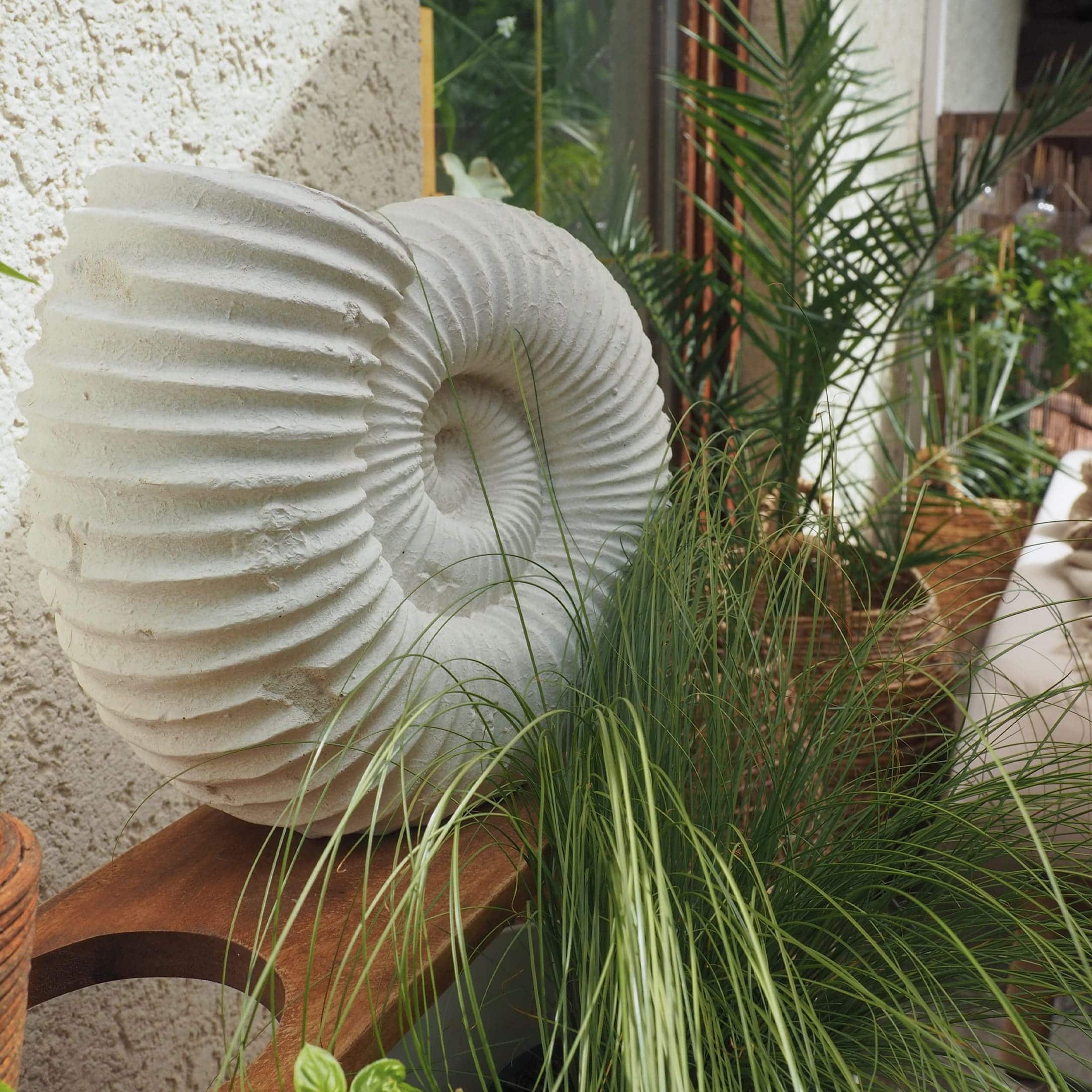 Décoration blanche en pierre en forme de coquillage sur étagère en bois avec plantes vertes